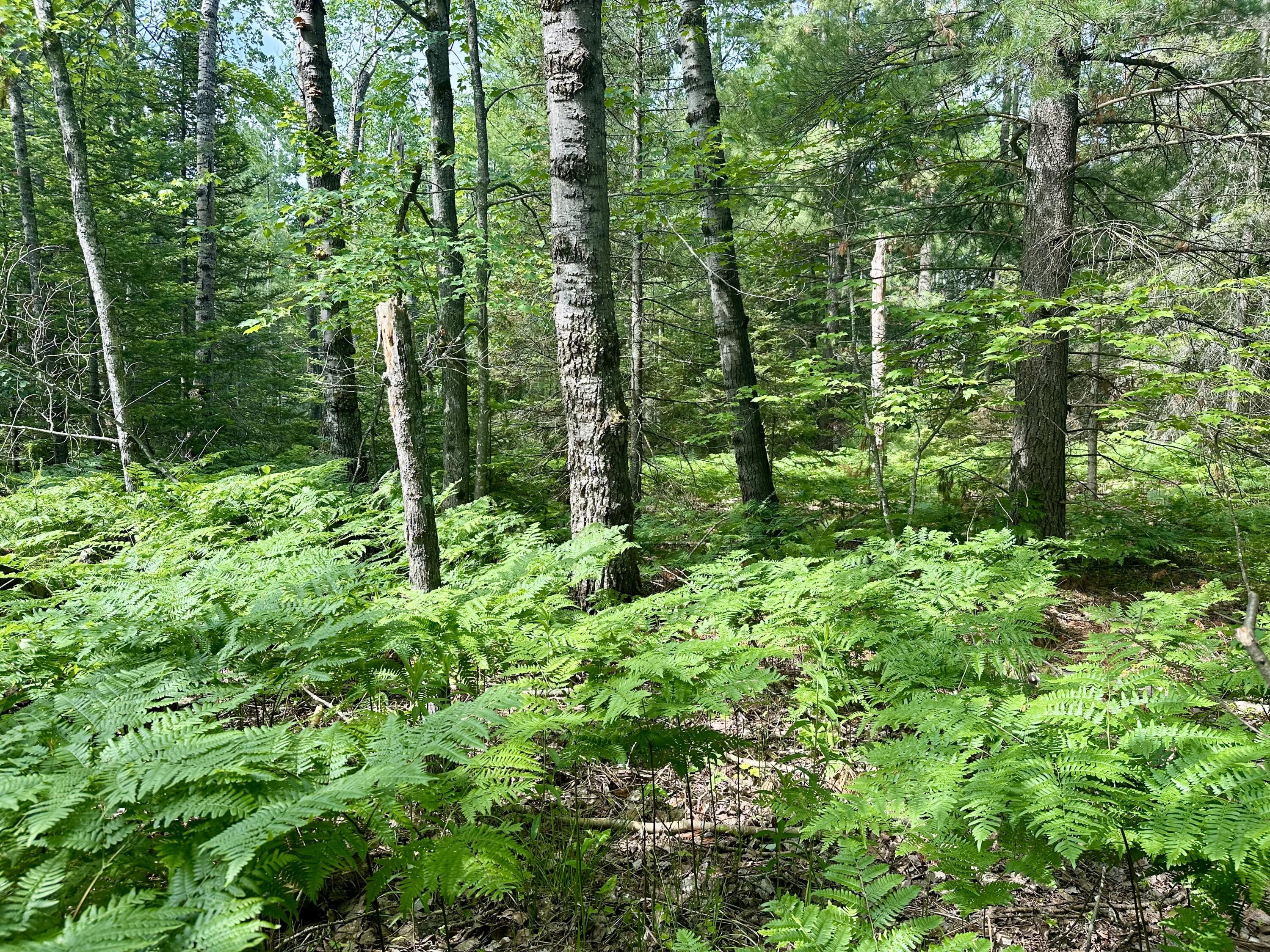 14560 E Shoreline Drive, Lot 88