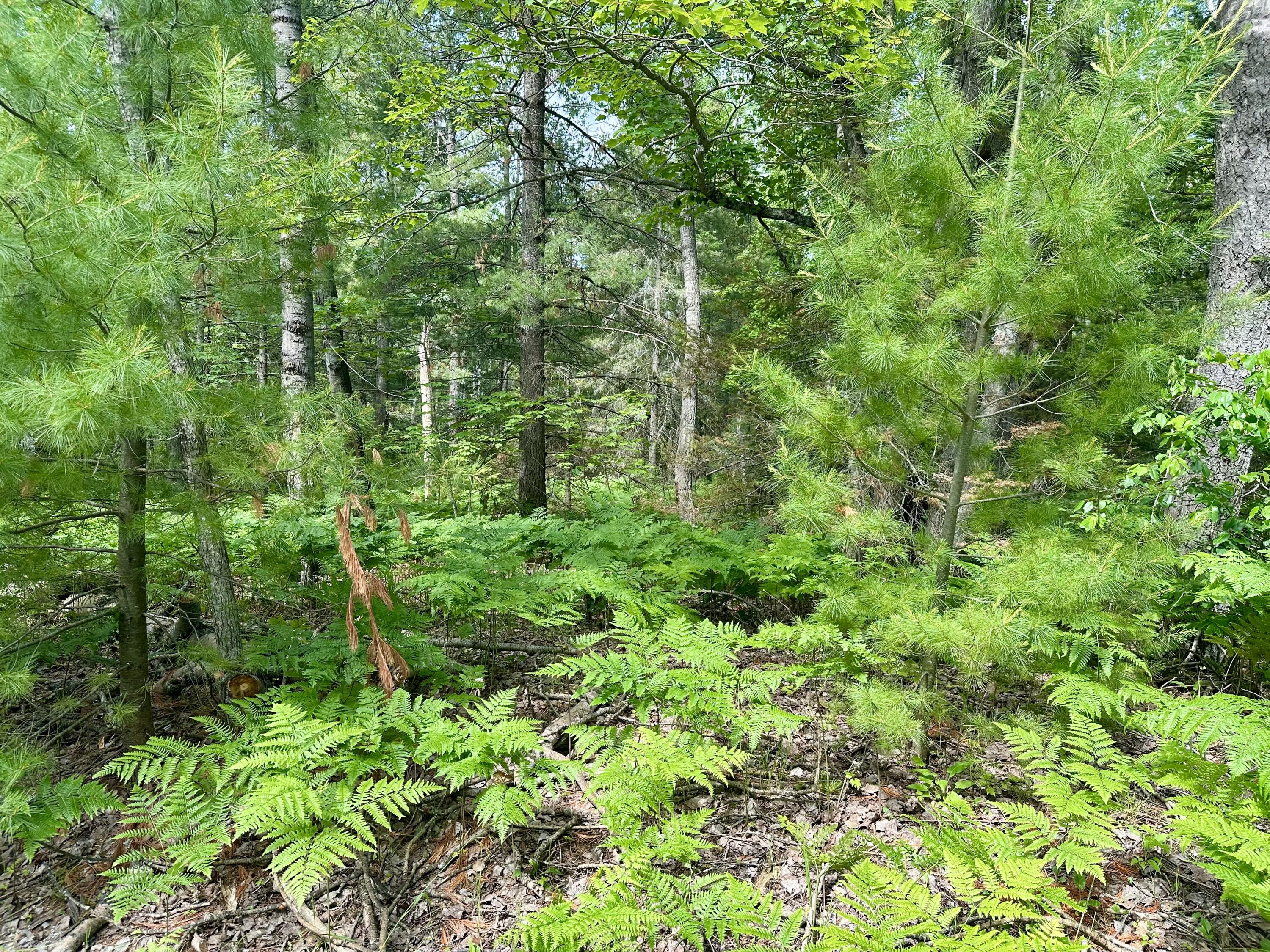14560 E Shoreline Drive, Lot 88
