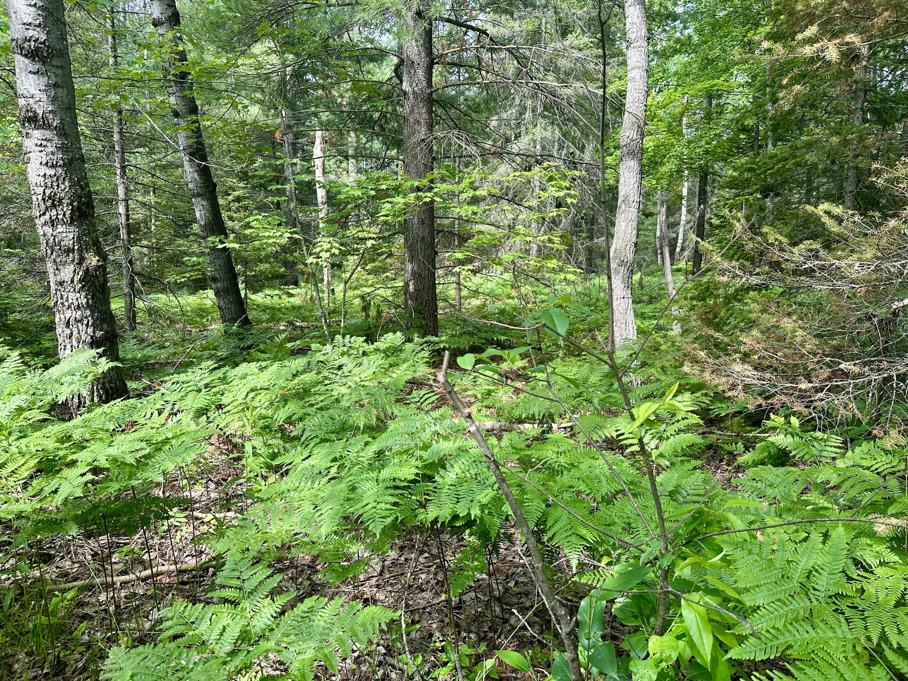 14560 E Shoreline Drive, Lot 88