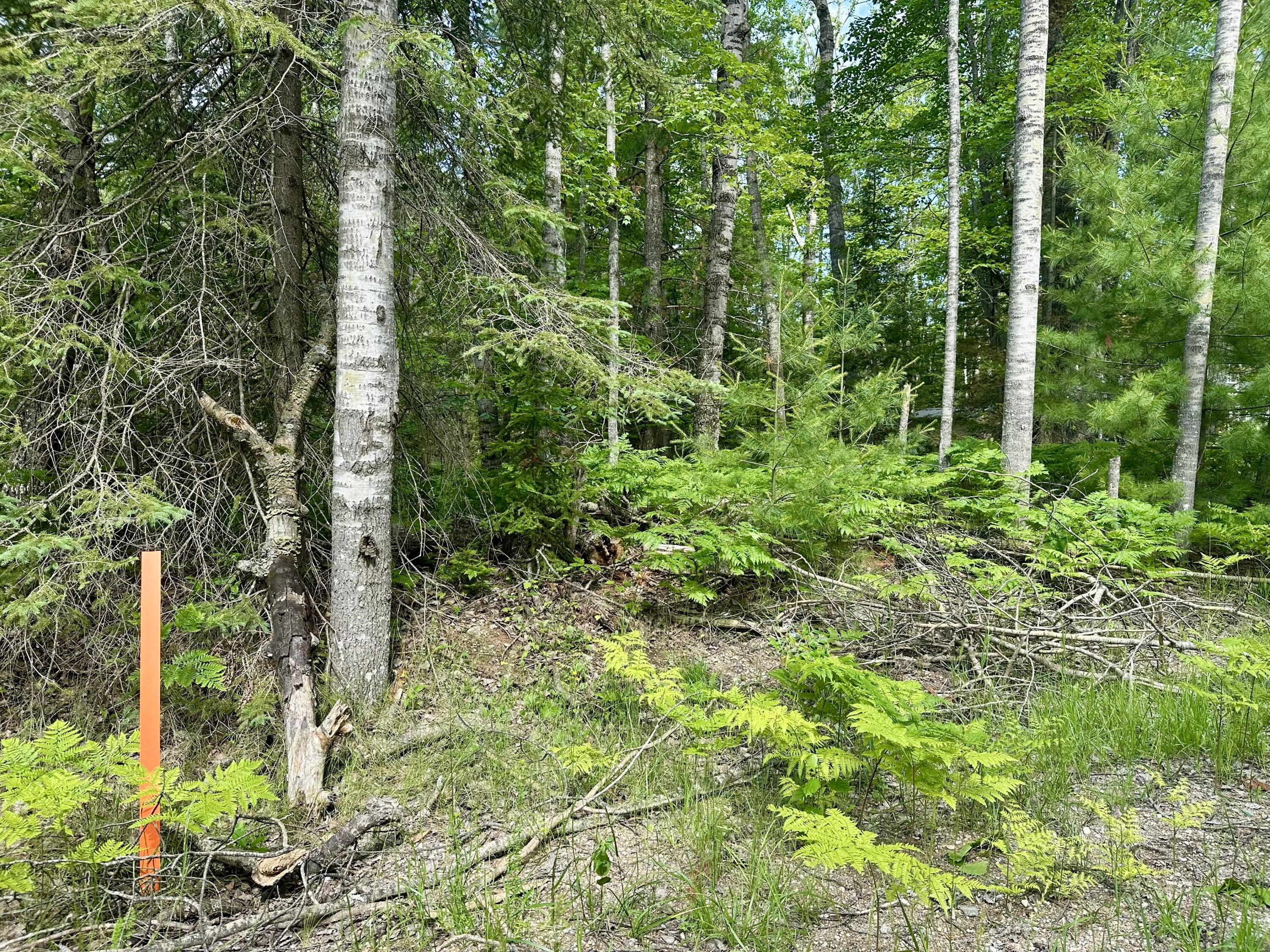 14560 E Shoreline Drive, Lot 88