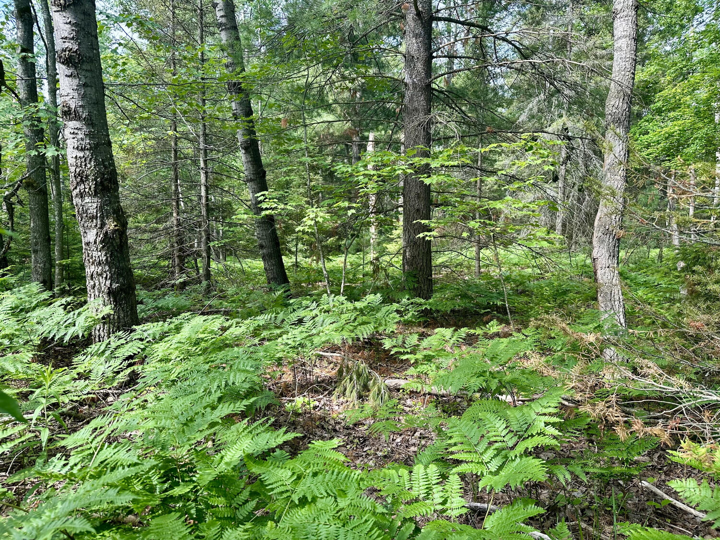 14560 E Shoreline Drive, Lot 88