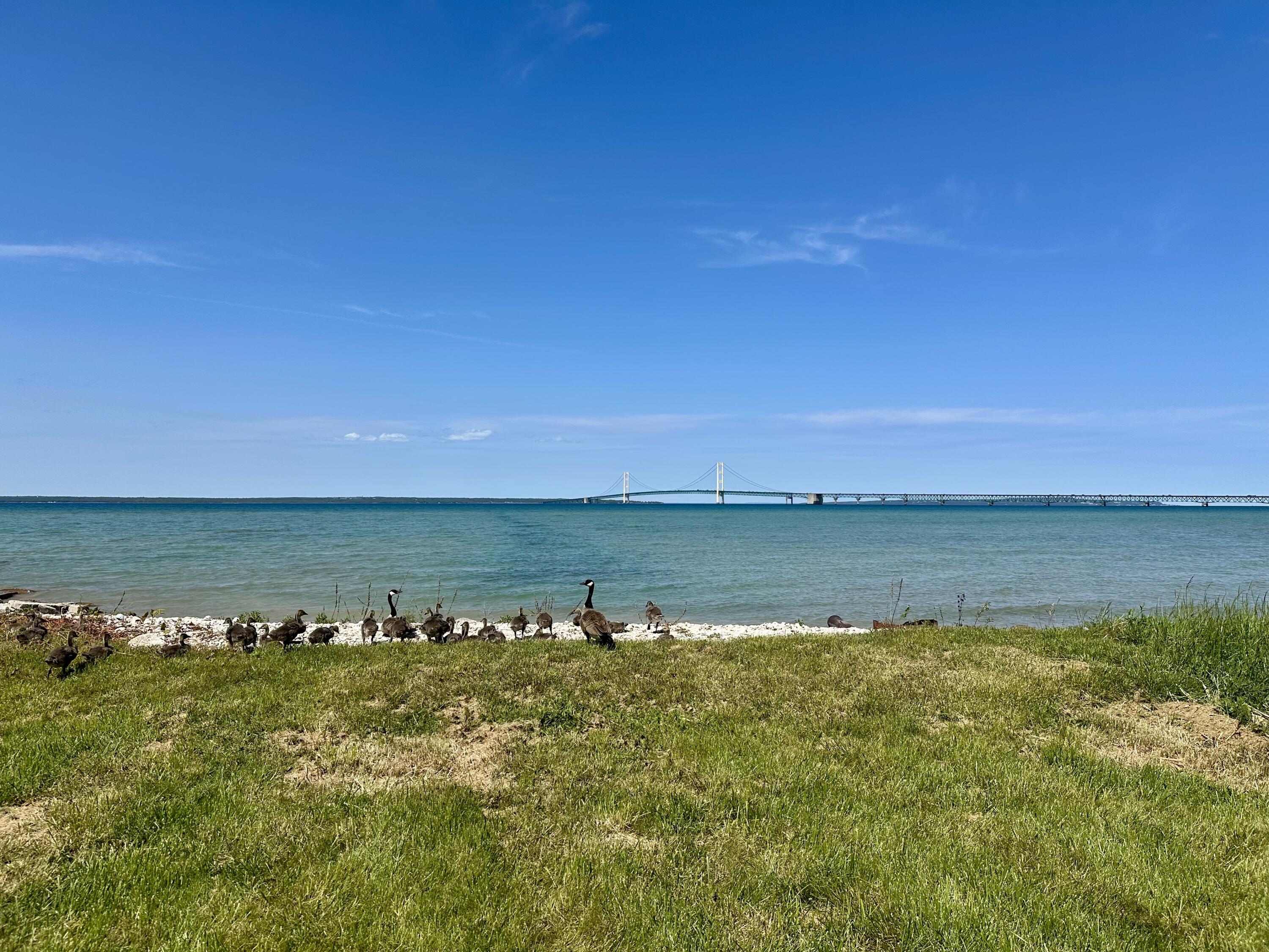 914 Lakeside Drive