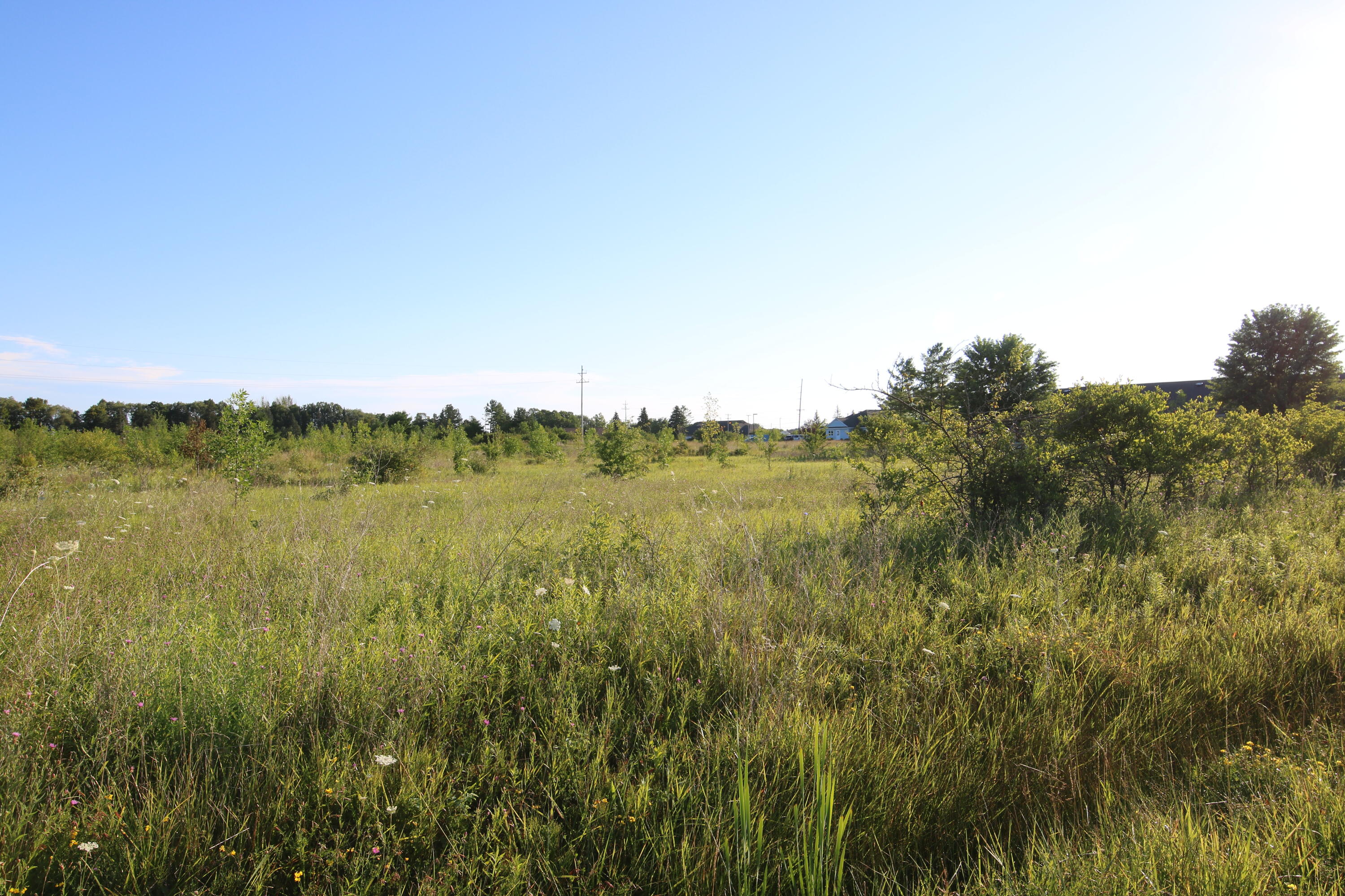 Stempky Street, 1.8 acres