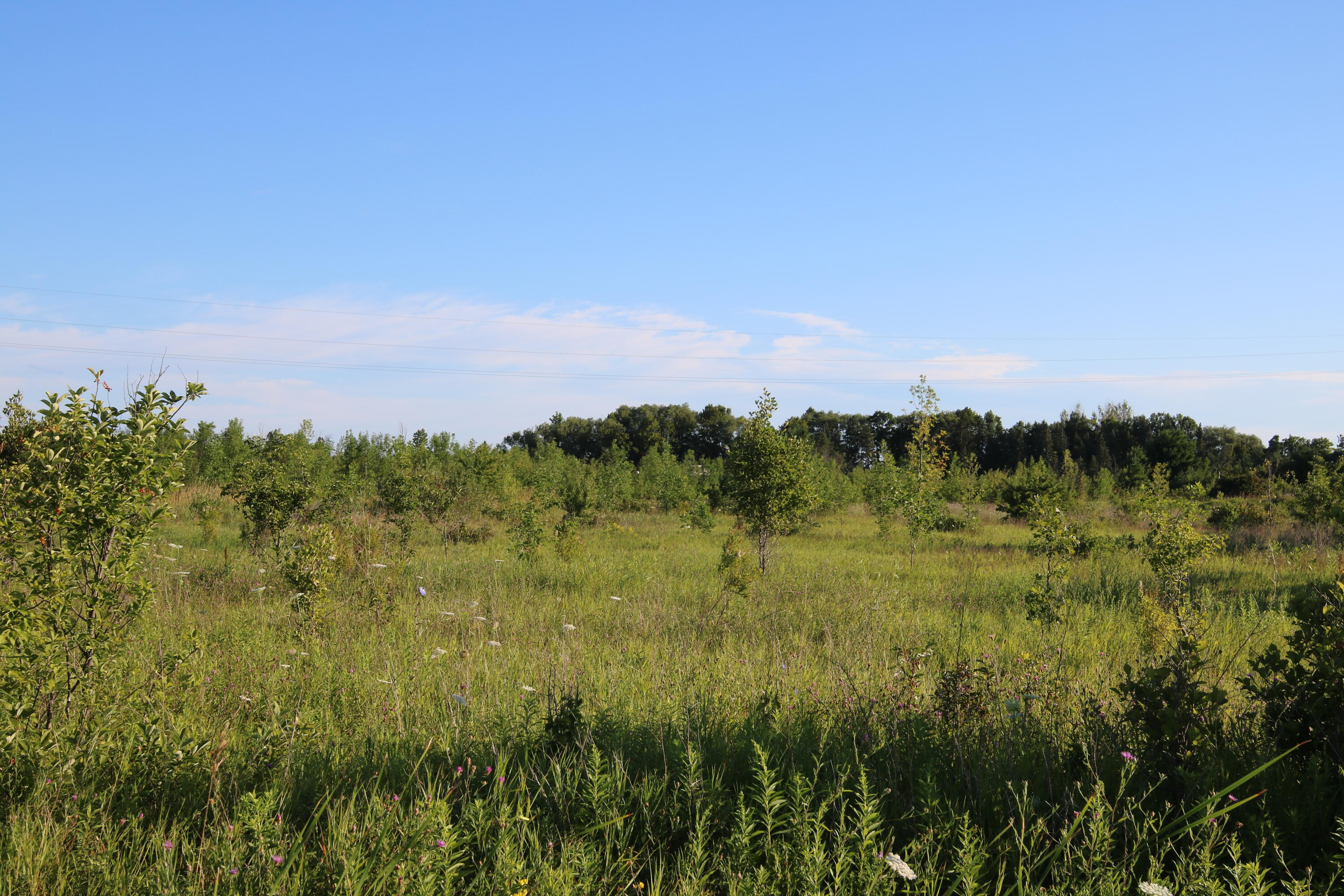 Stempky Street, 1.8 acres