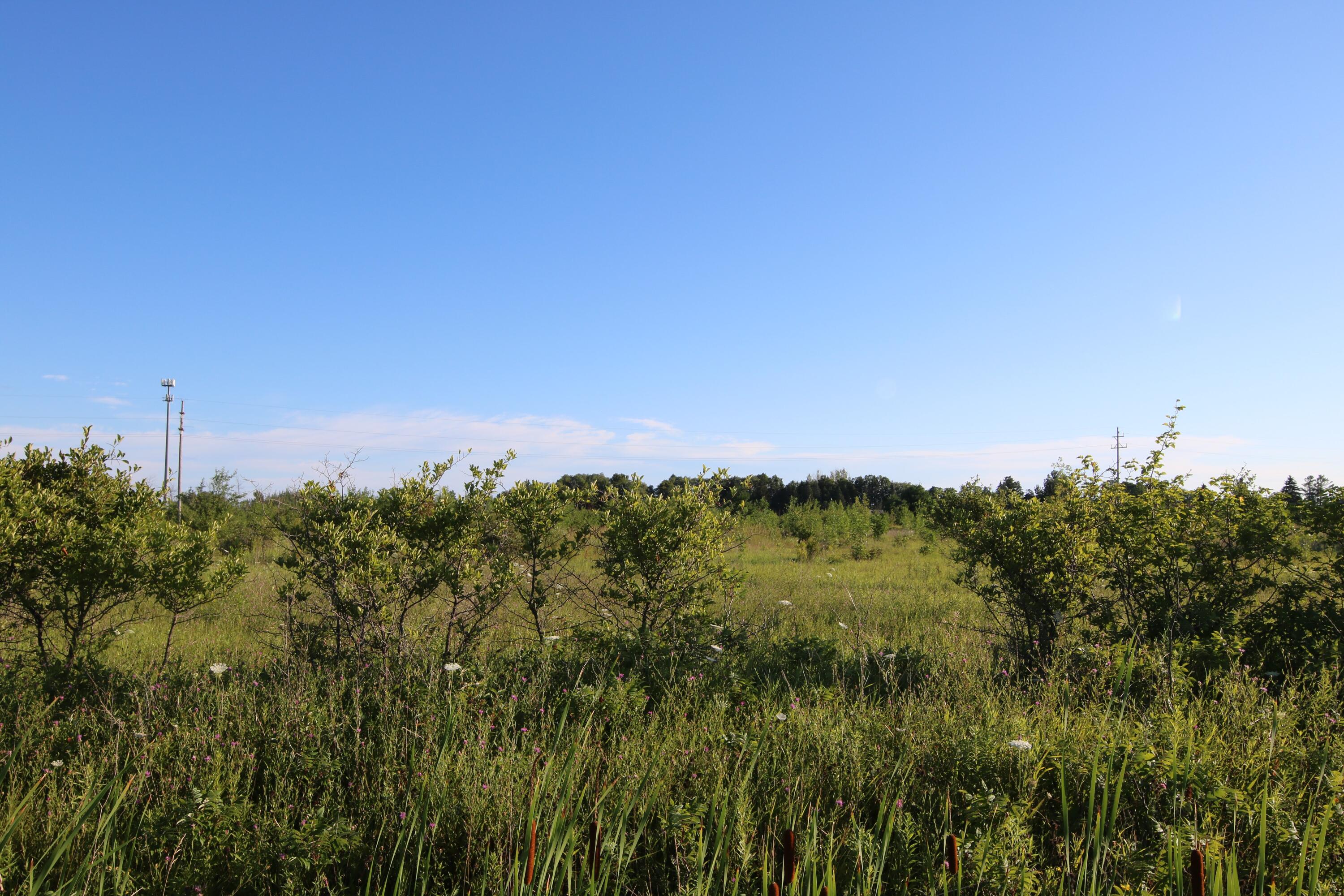 Stempky Street, 1.8 acres