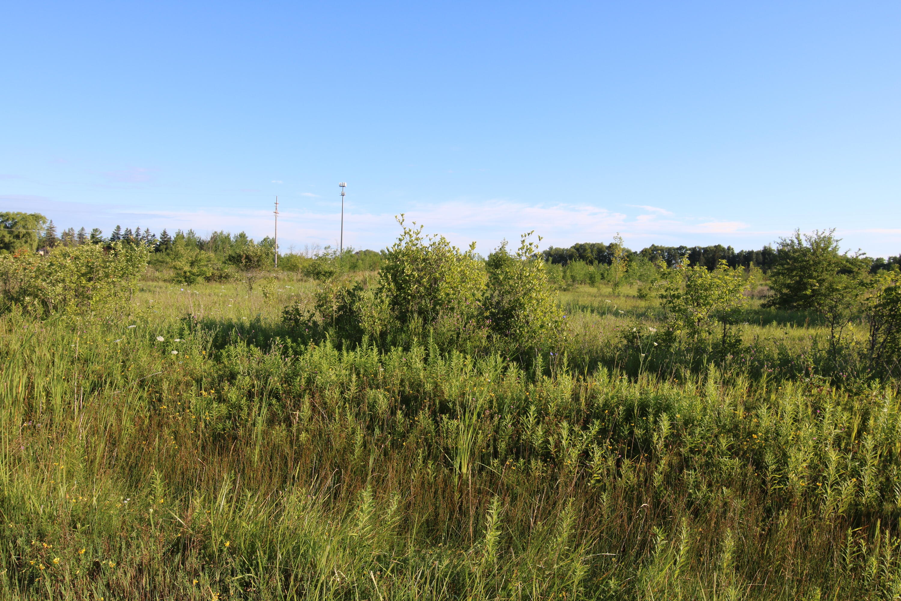 Stempky Street, 1.8 acres