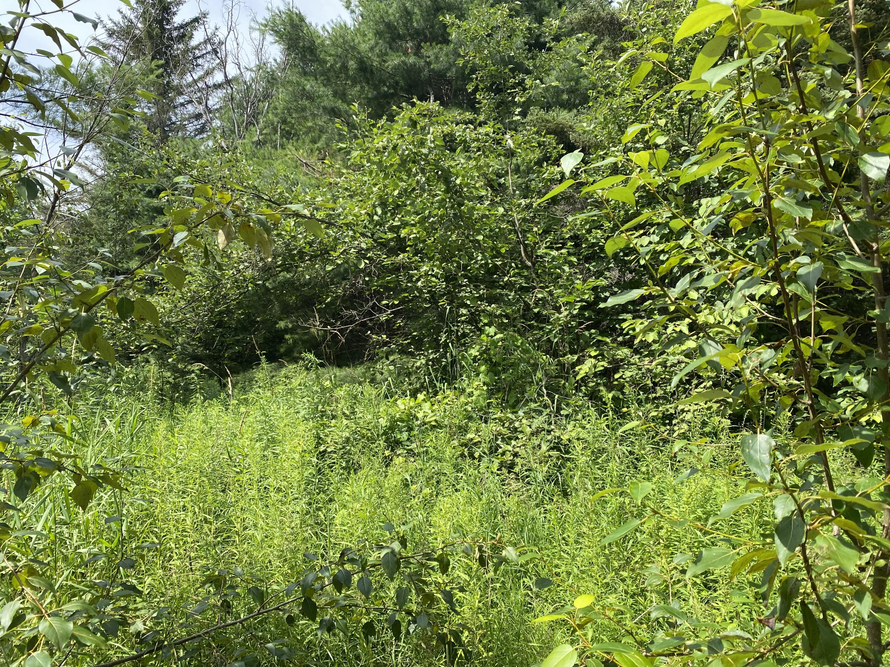 V/L Walsh Road, 36.16 acres