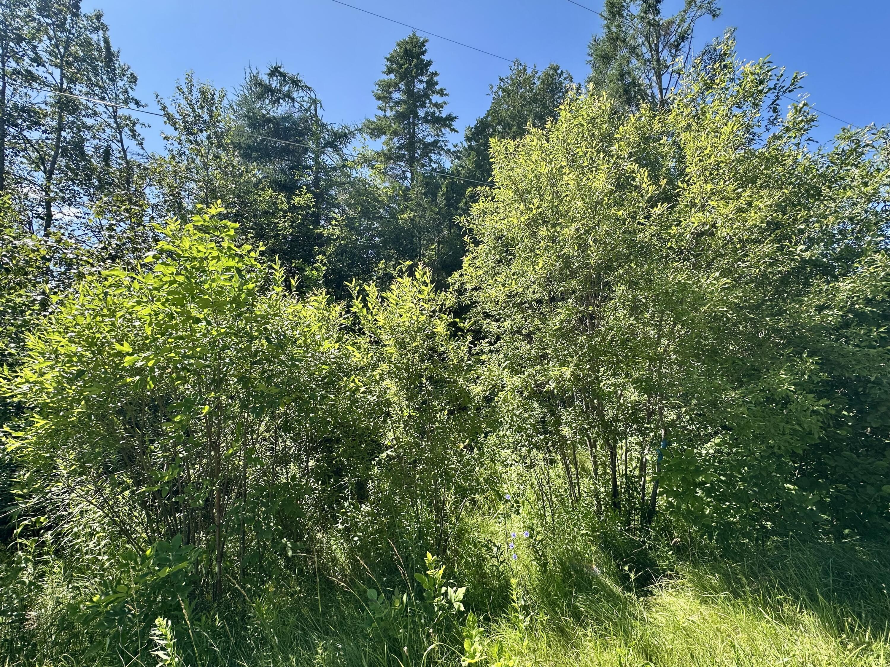 14371 Stoney Pointe Road