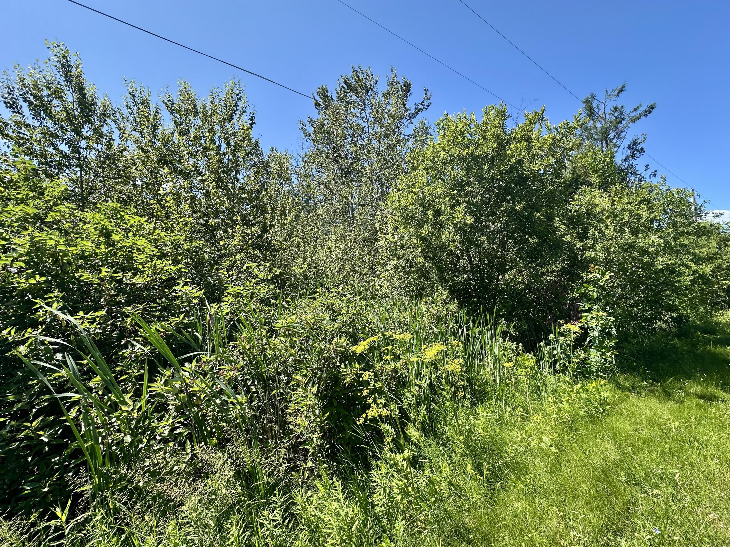 14371 Stoney Pointe Road