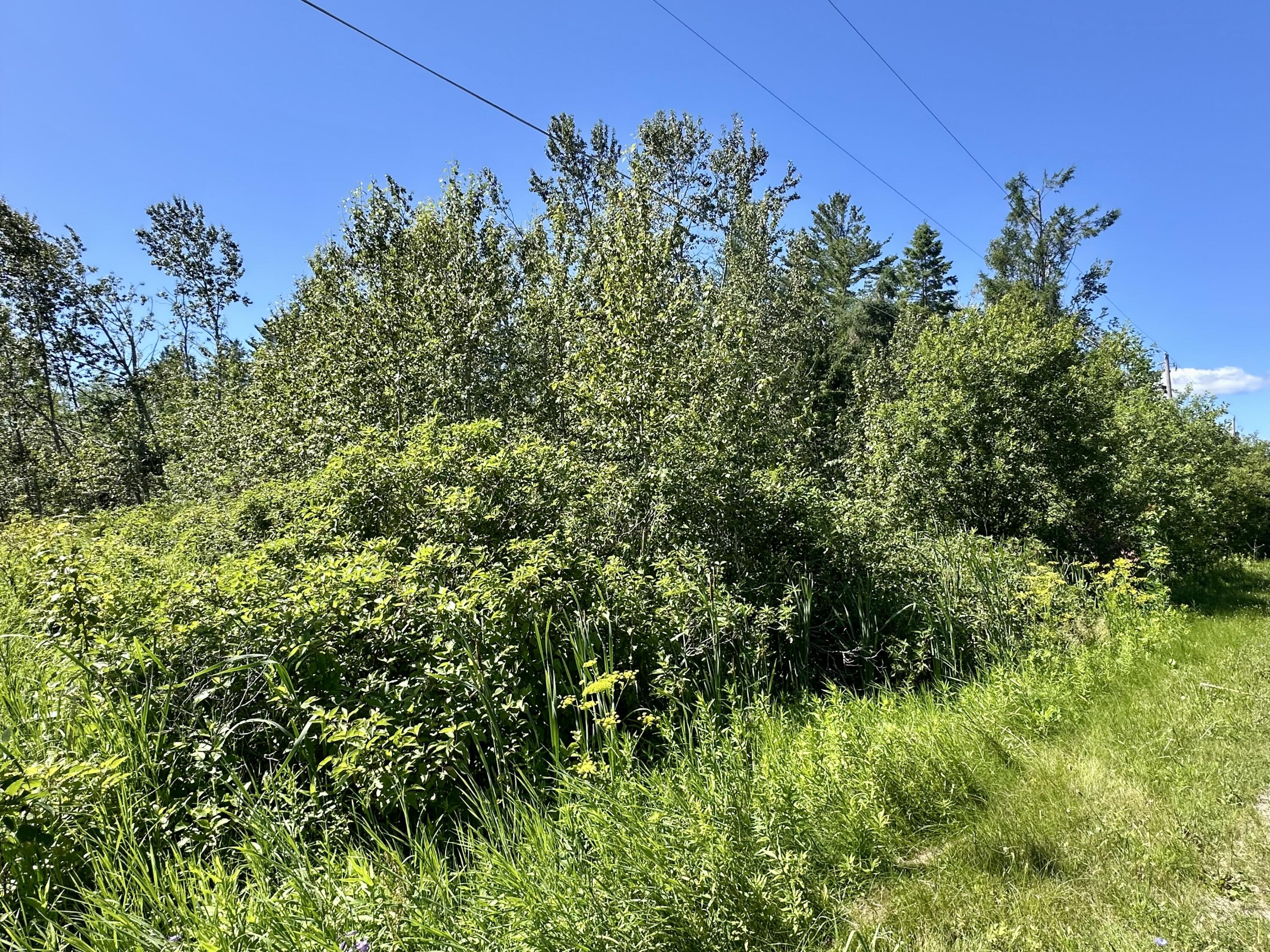 14371 Stoney Pointe Road