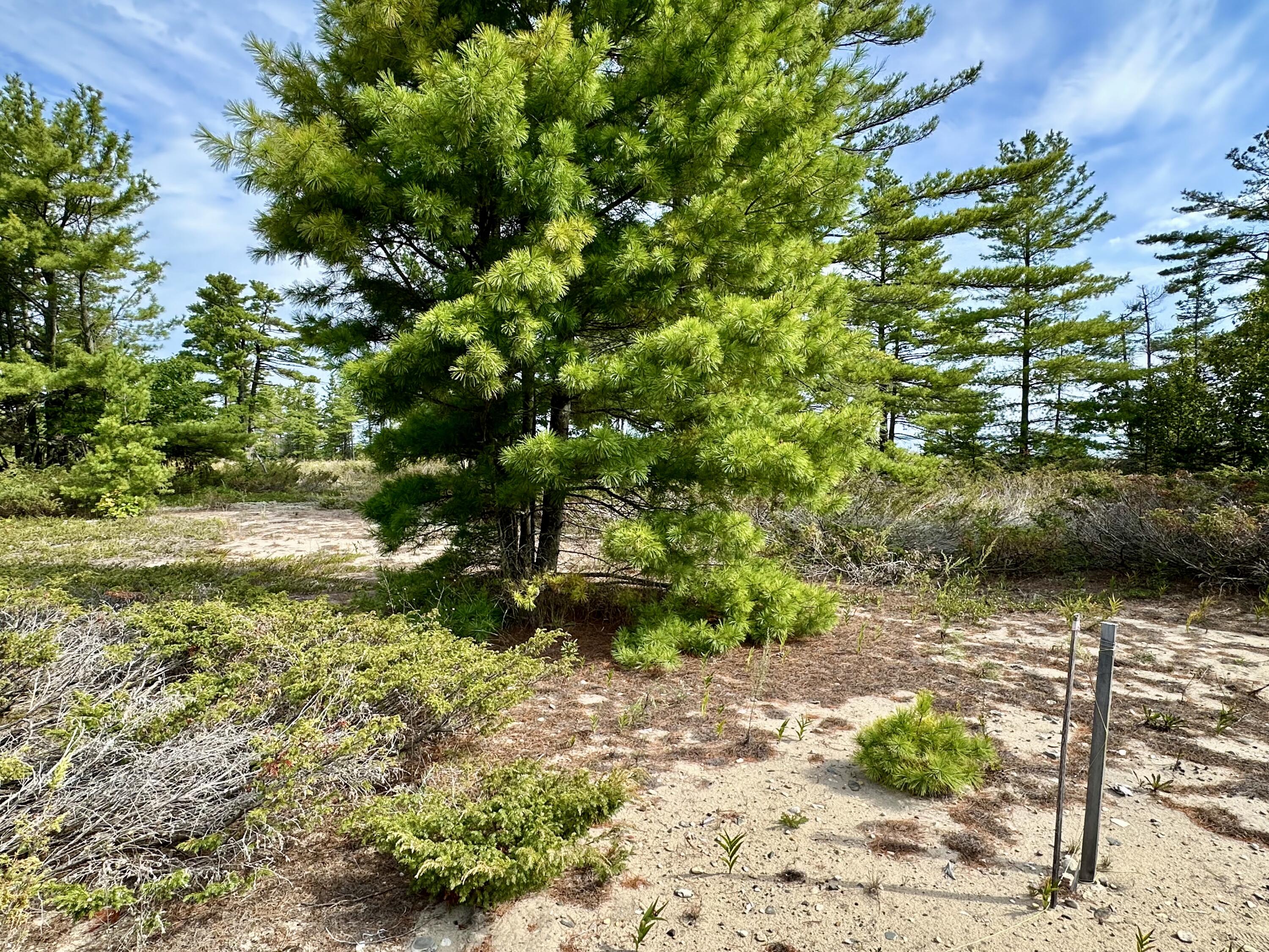 3286 Edgewater Drive