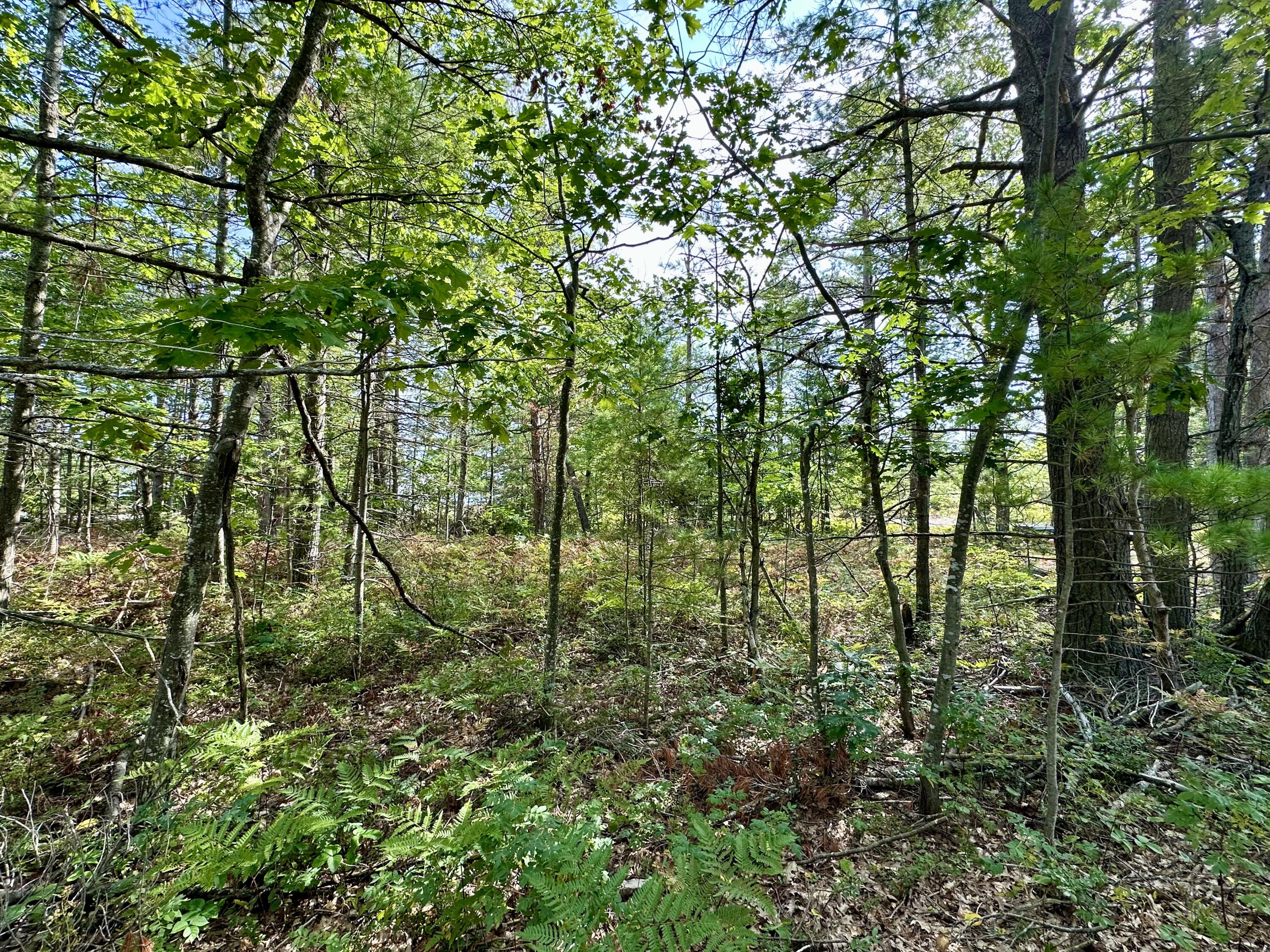 3286 Edgewater Drive