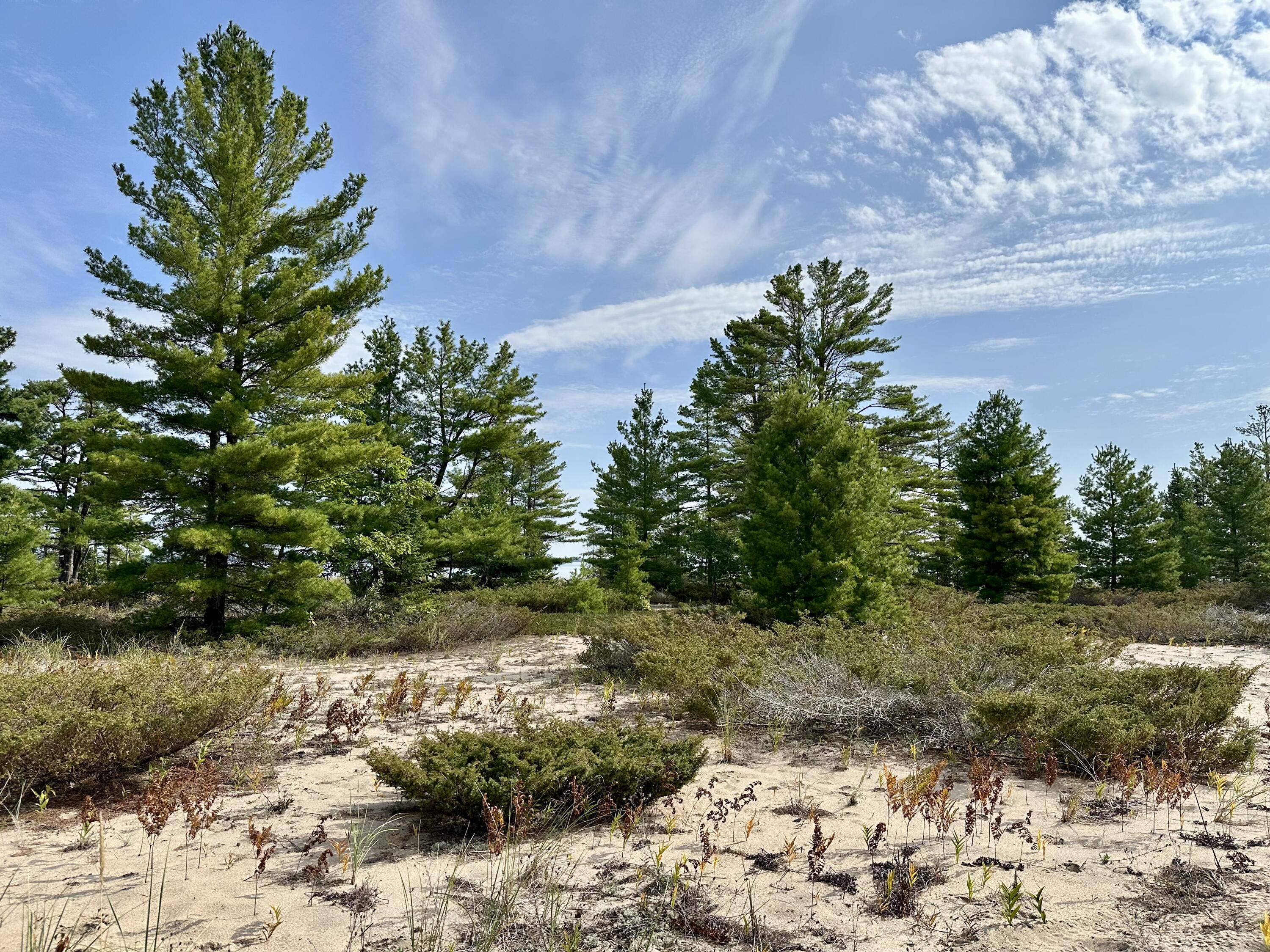 3286 Edgewater Drive