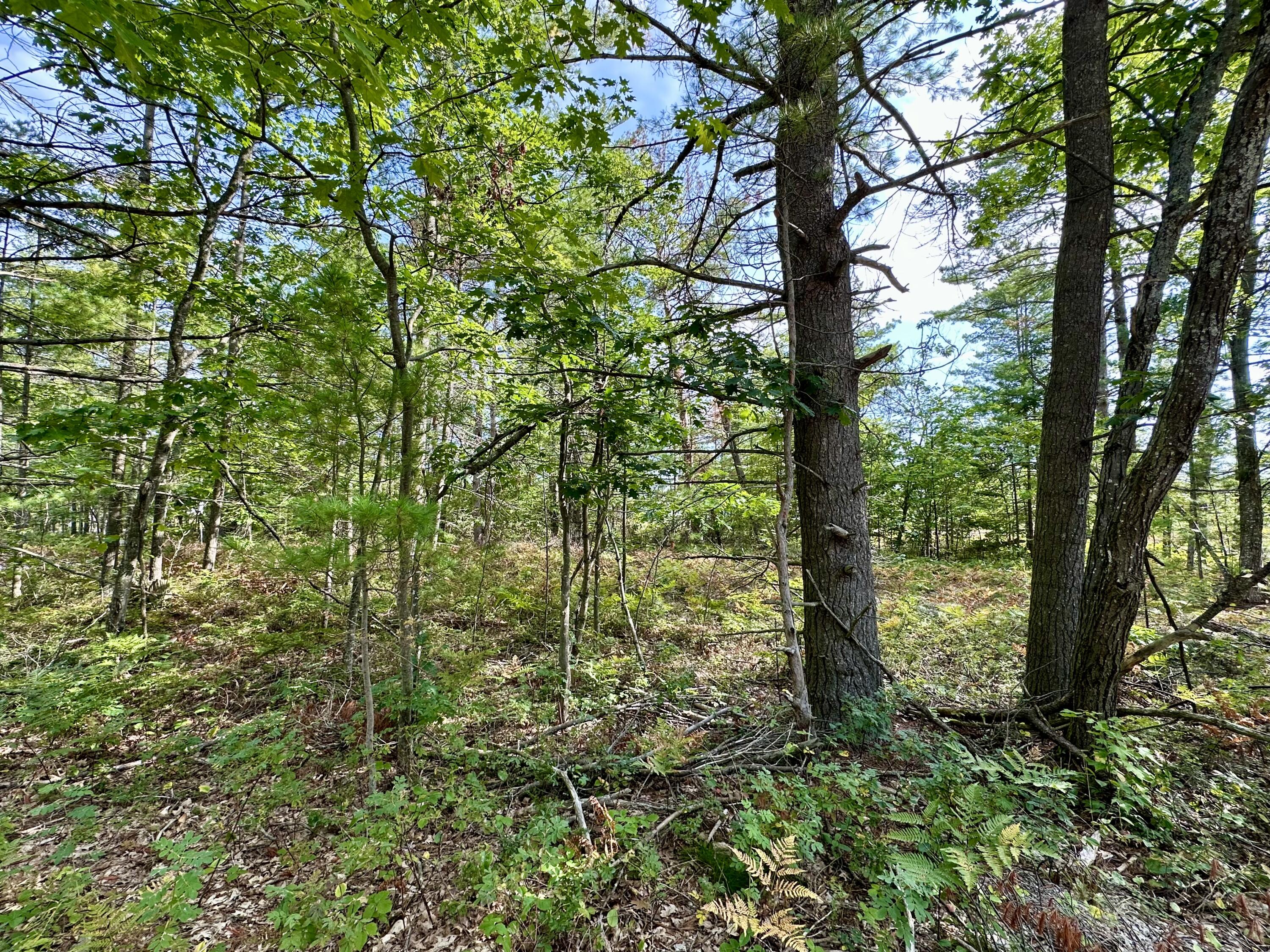 3286 Edgewater Drive