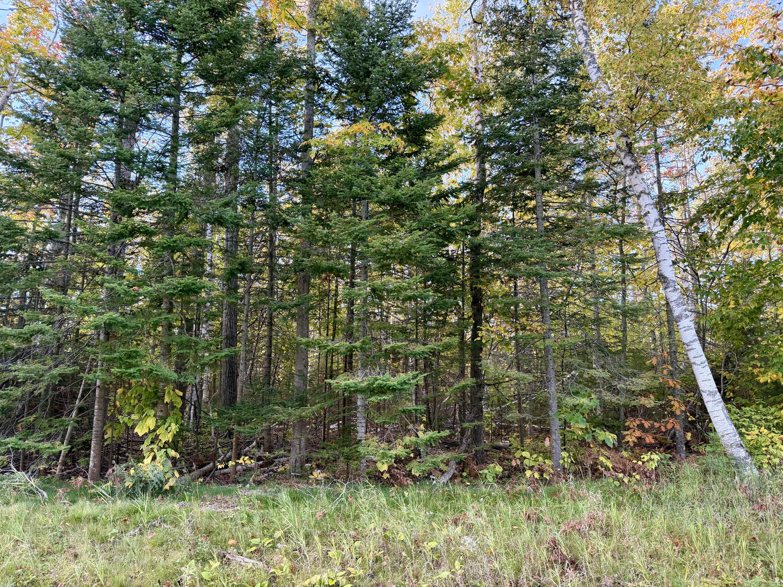 12074 US-23 Highway, 3.76 acres