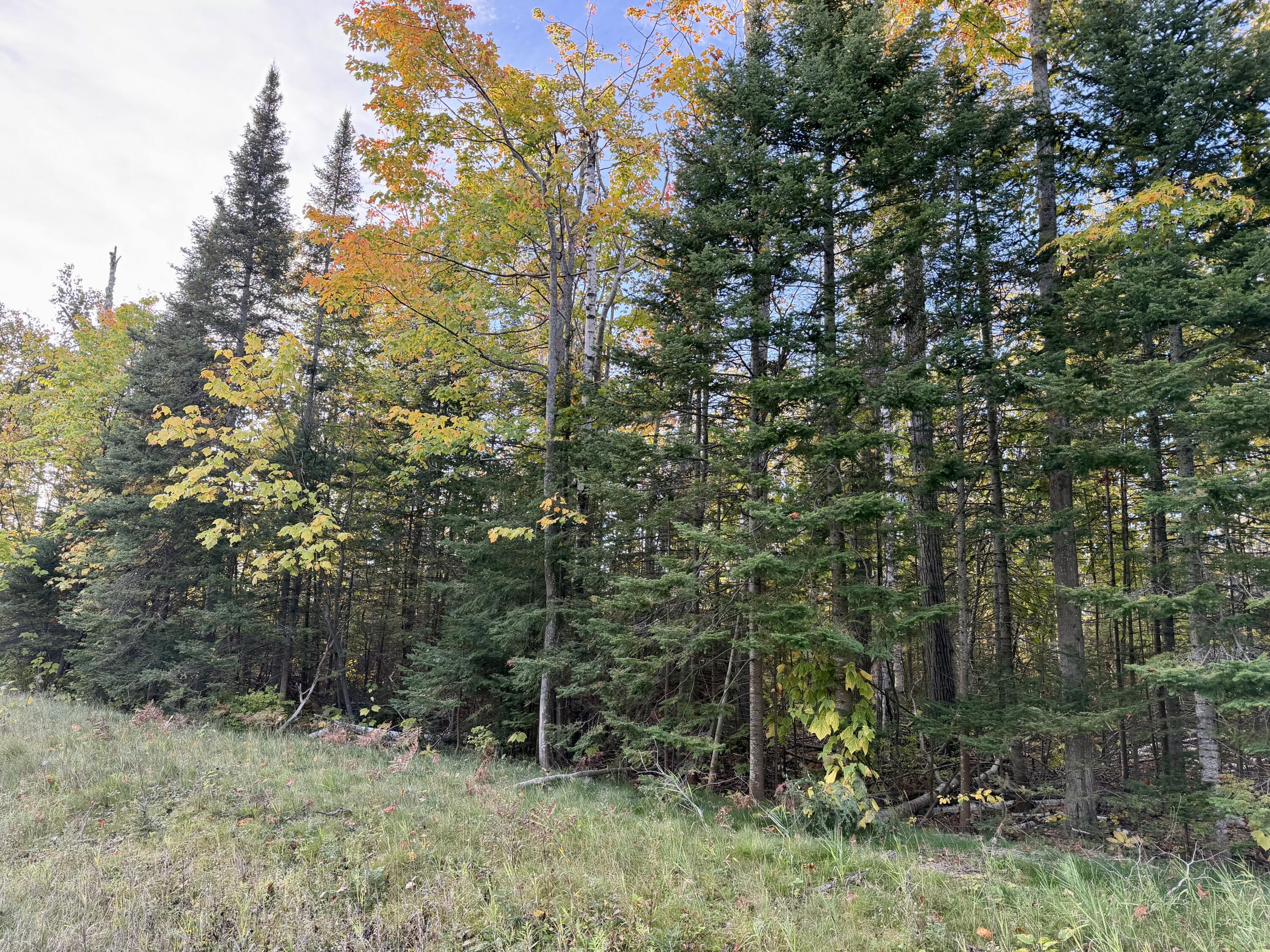 12074 US-23 Highway, 3.76 acres