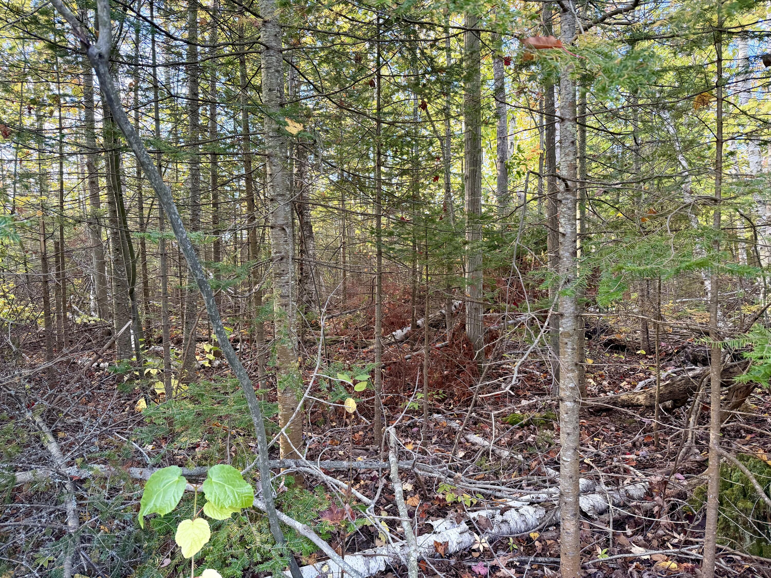 12074 US-23 Highway, 3.76 acres