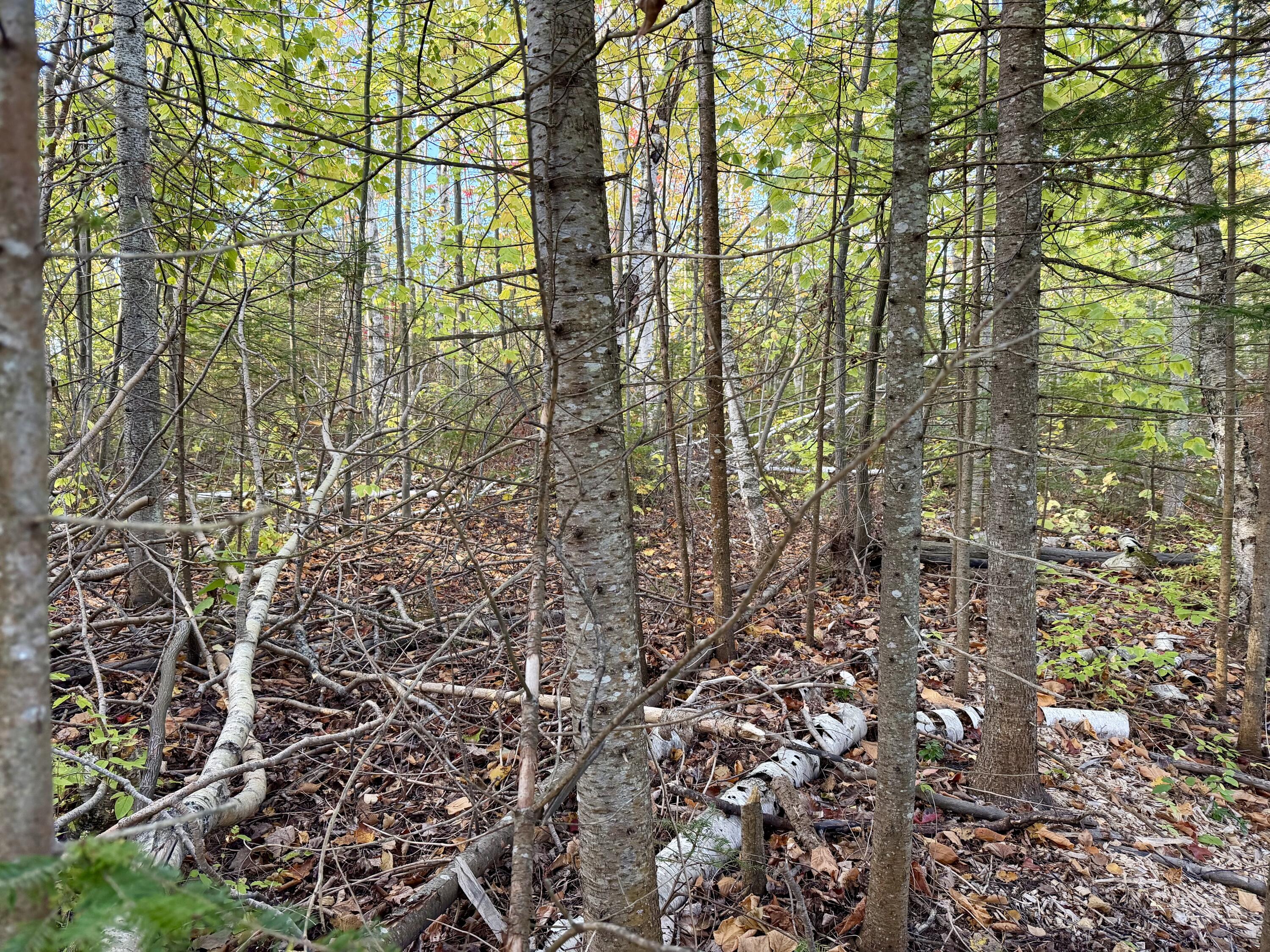 12074 US-23 Highway, 3.76 acres