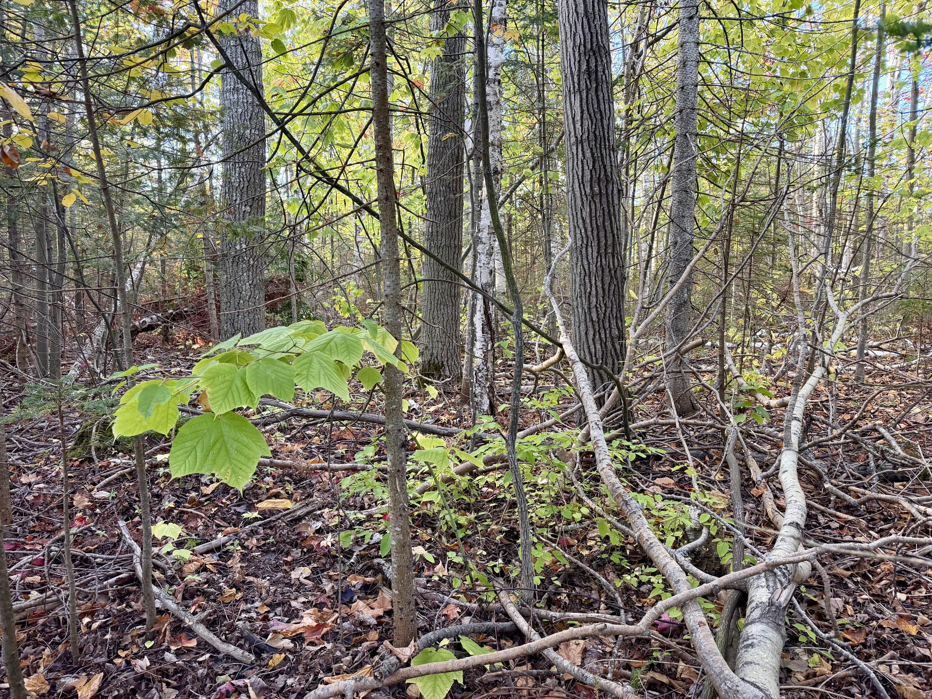 12074 US-23 Highway, 3.76 acres