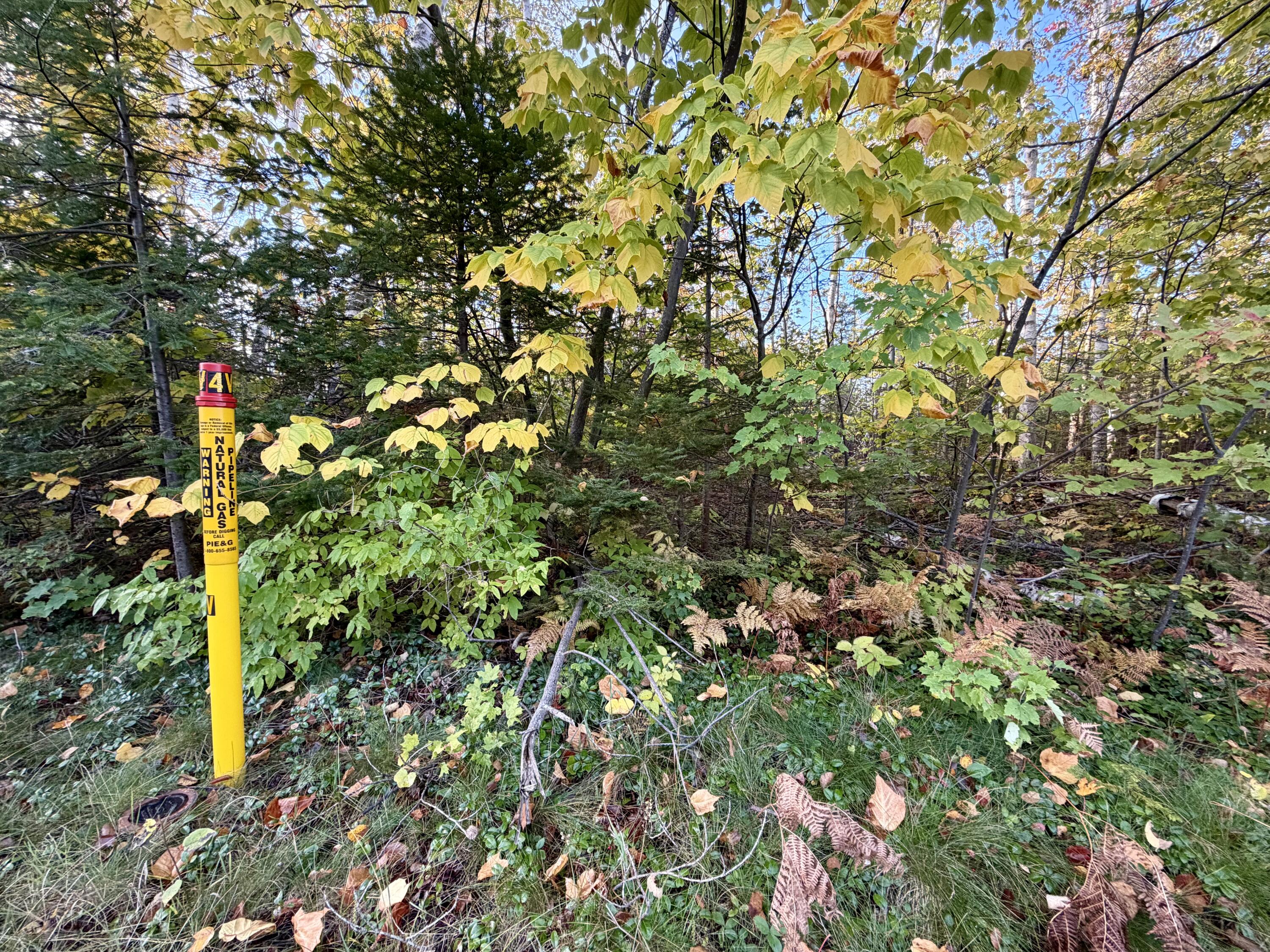 12074 US-23 Highway, 3.76 acres