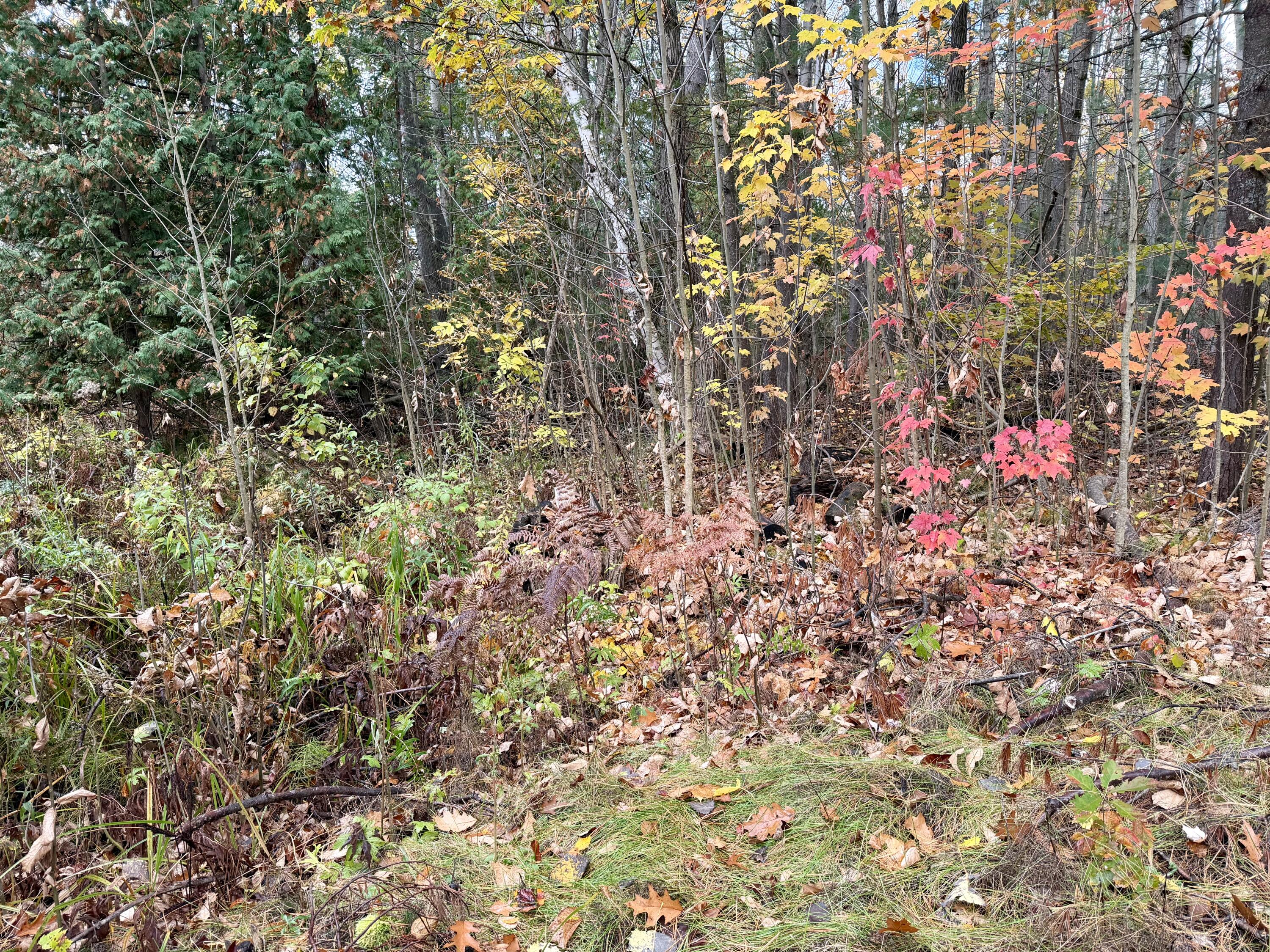 2350 W Silver Beach Road, Cheboygan