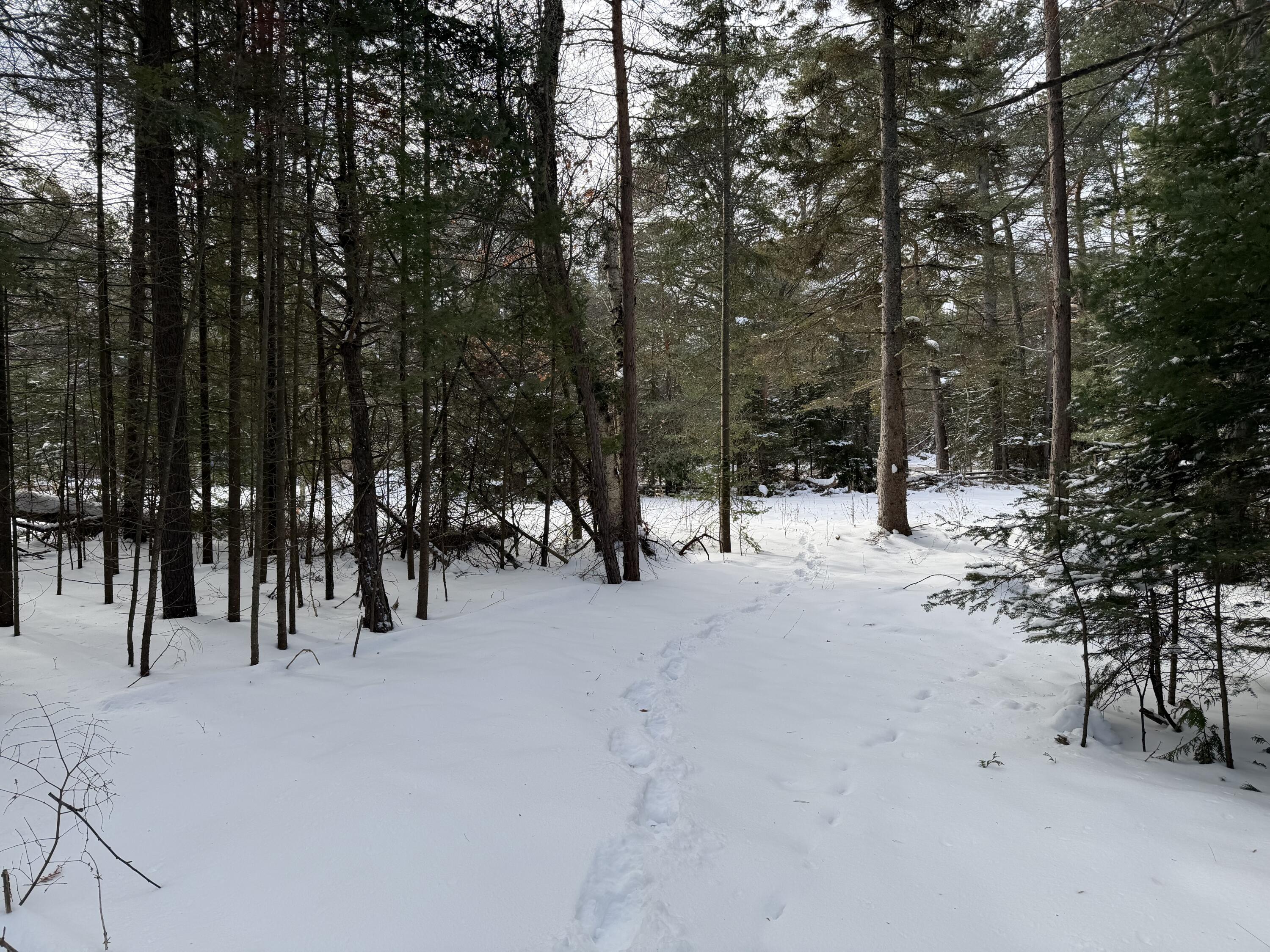 Lot 14 W US 23 Highway