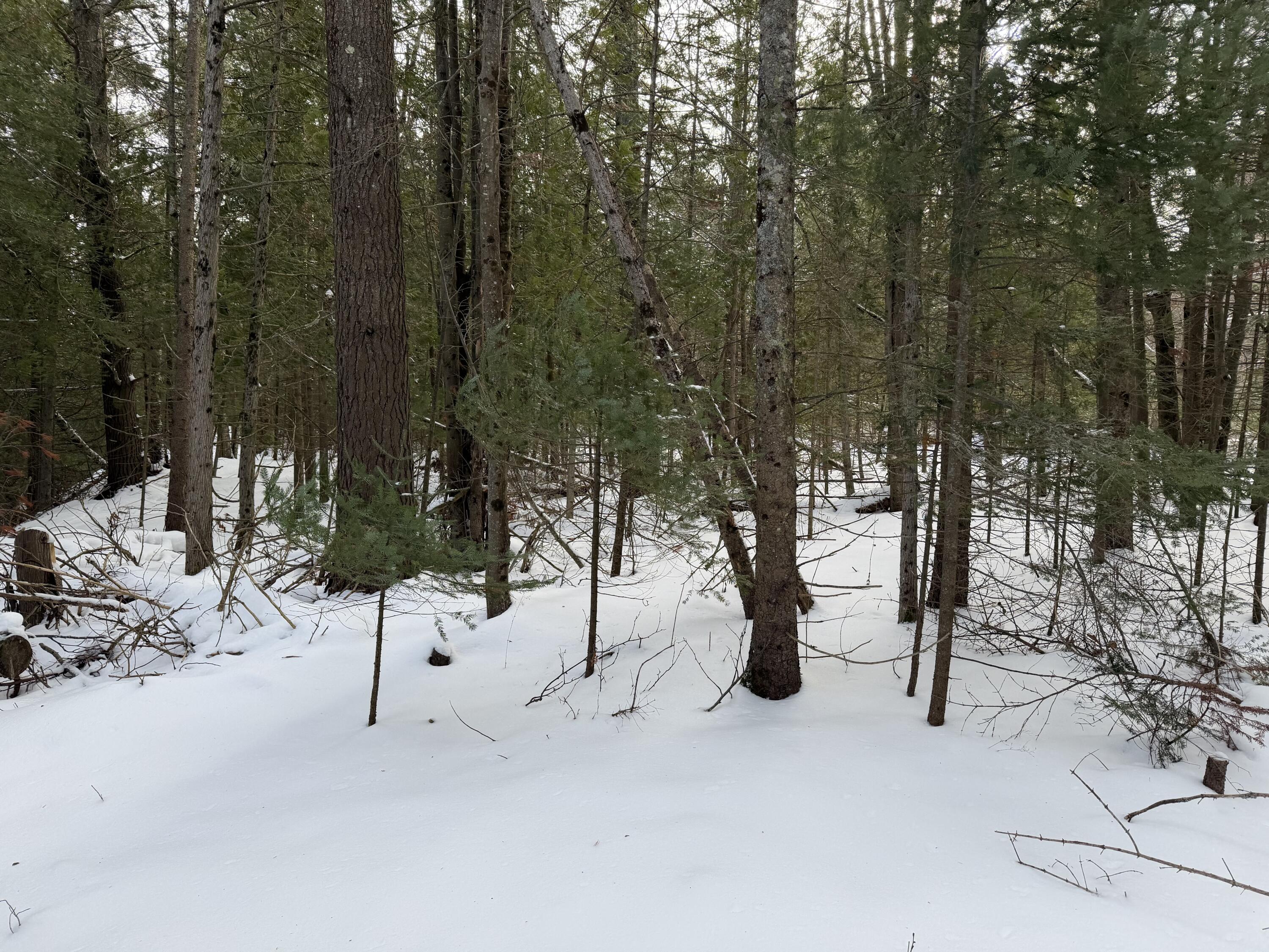 Lot 14 W US 23 Highway