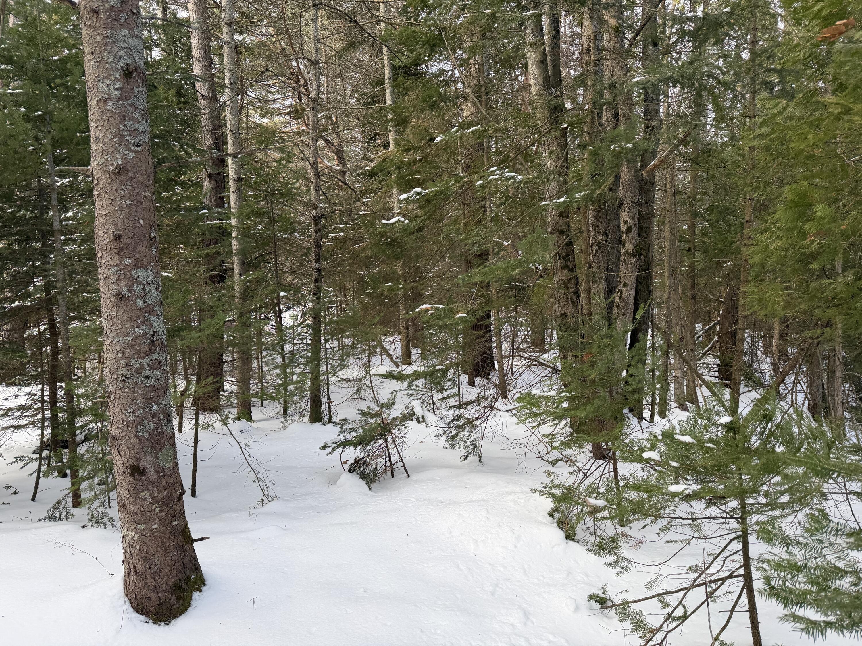 Lot 14 W US 23 Highway