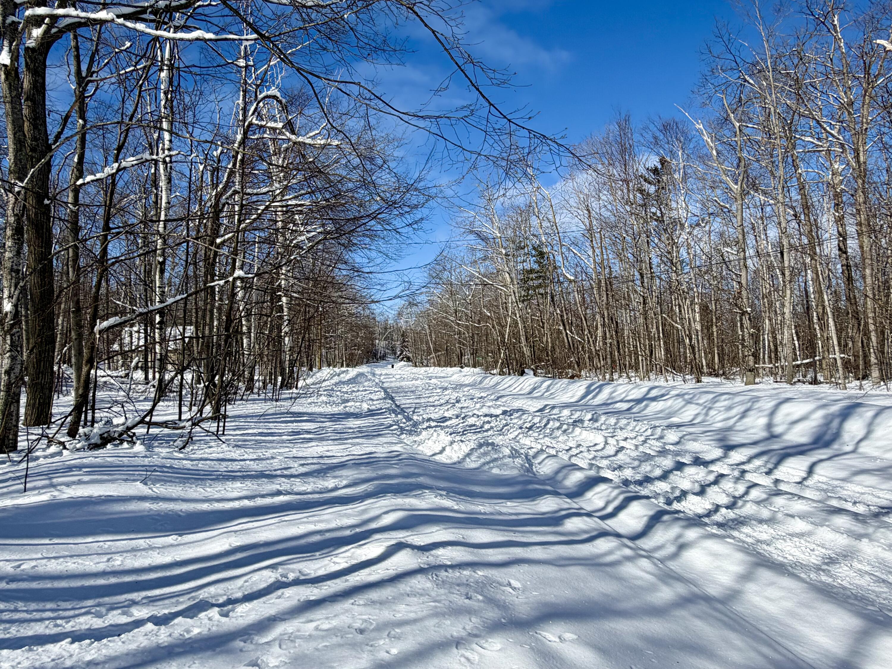 L 683-684 Cedarhurst Drive, Lots 683 & 684