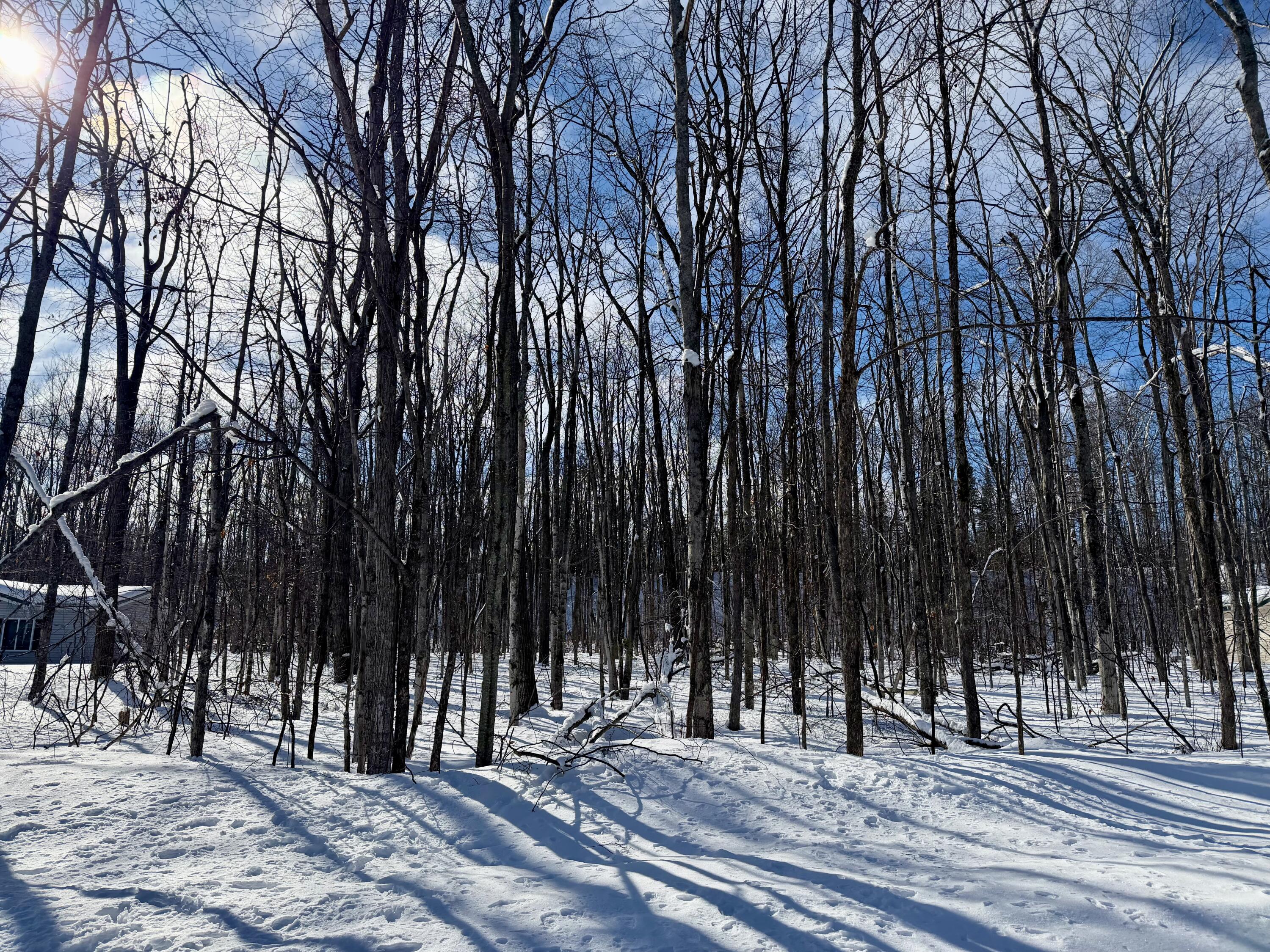 L 683-684 Cedarhurst Drive, Lots 683 & 684