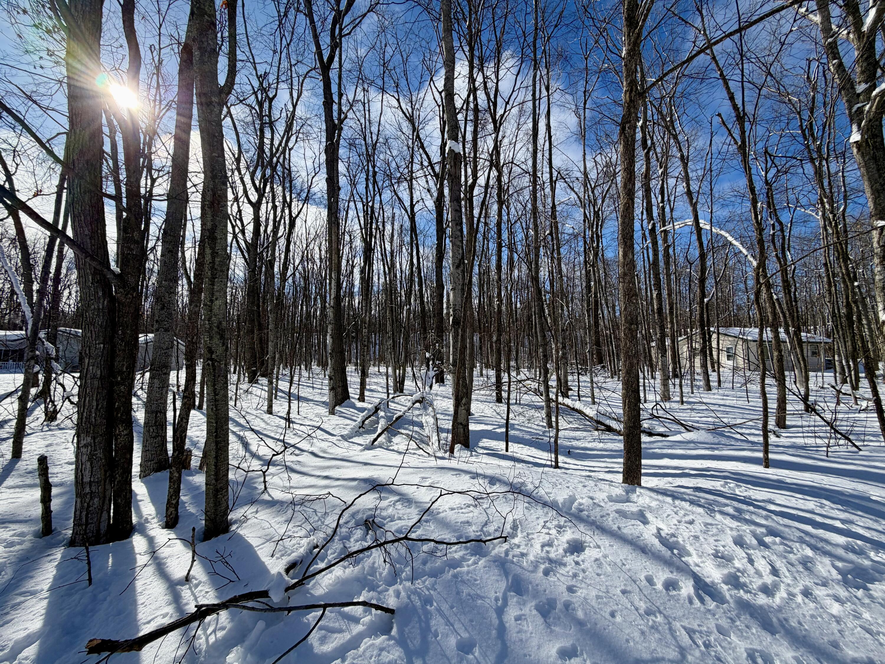 L 683-684 Cedarhurst Drive, Lots 683 & 684