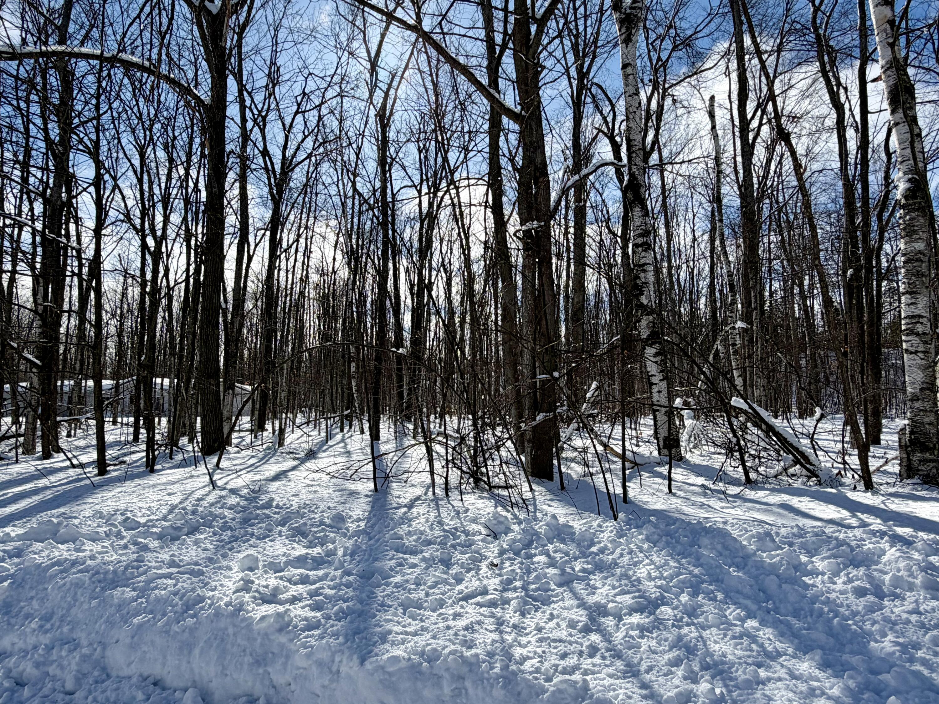 L 683-684 Cedarhurst Drive, Lots 683 & 684