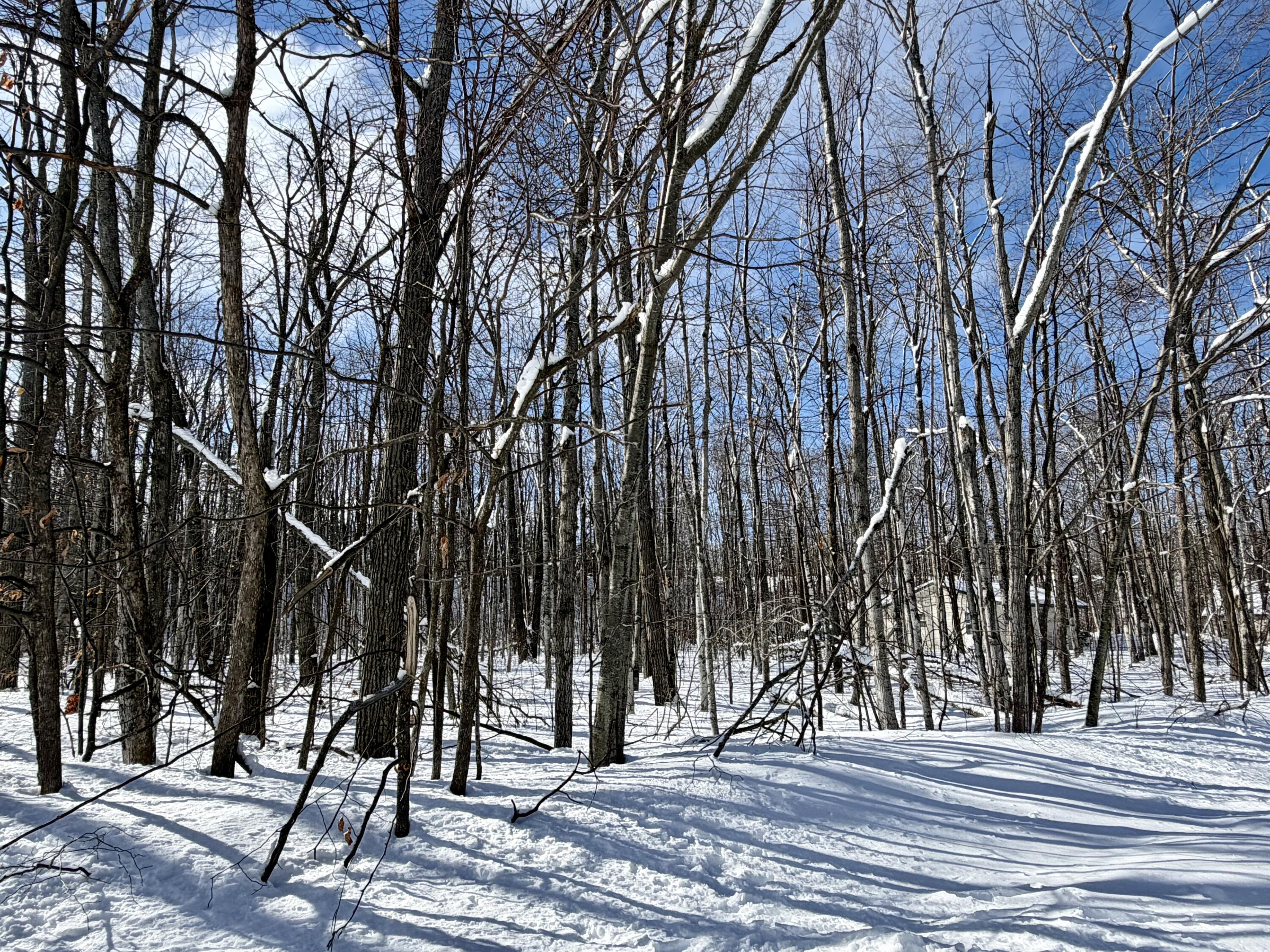 L 683-684 Cedarhurst Drive, Lots 683 & 684