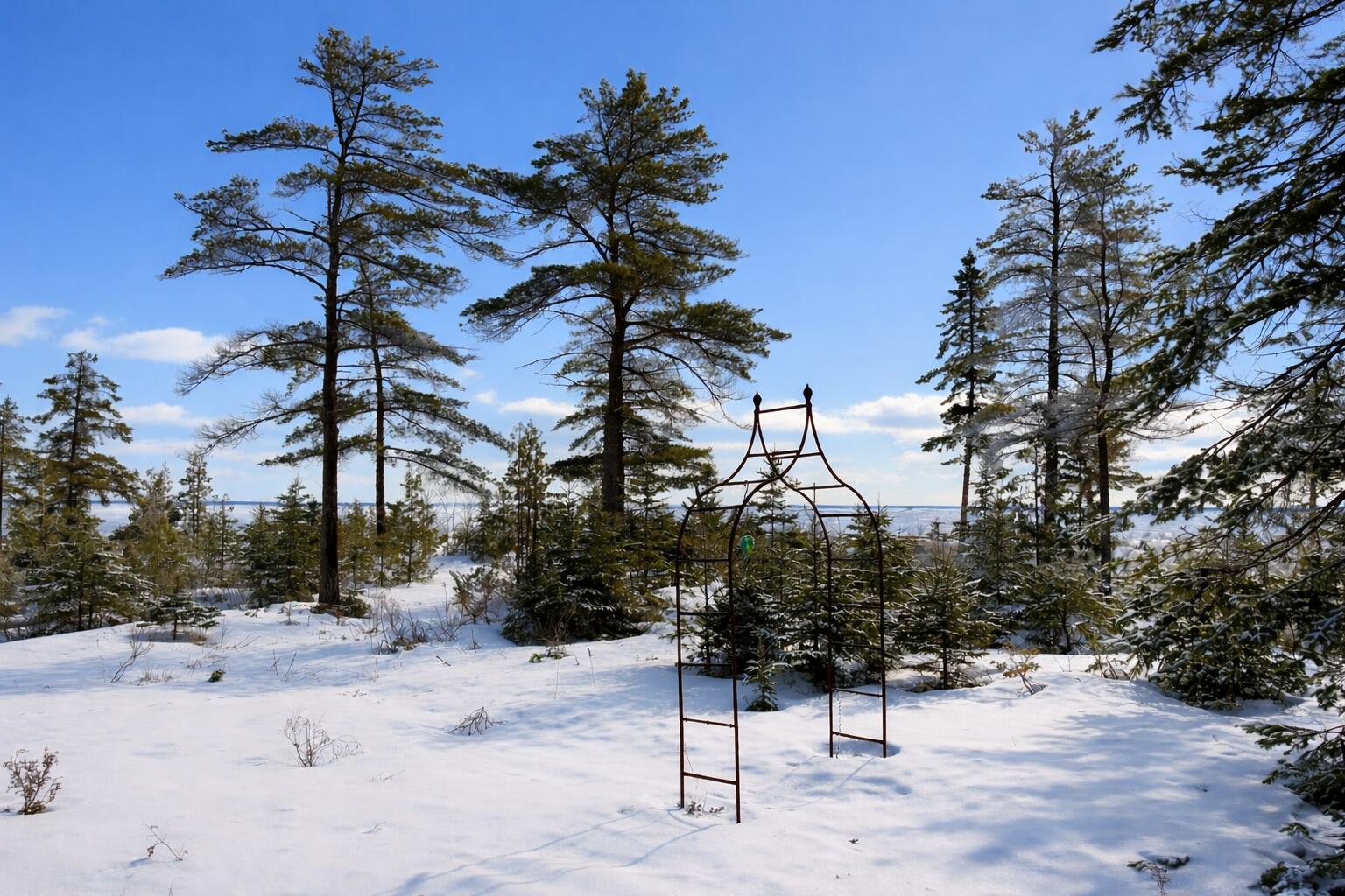 3332 Edgewater Drive