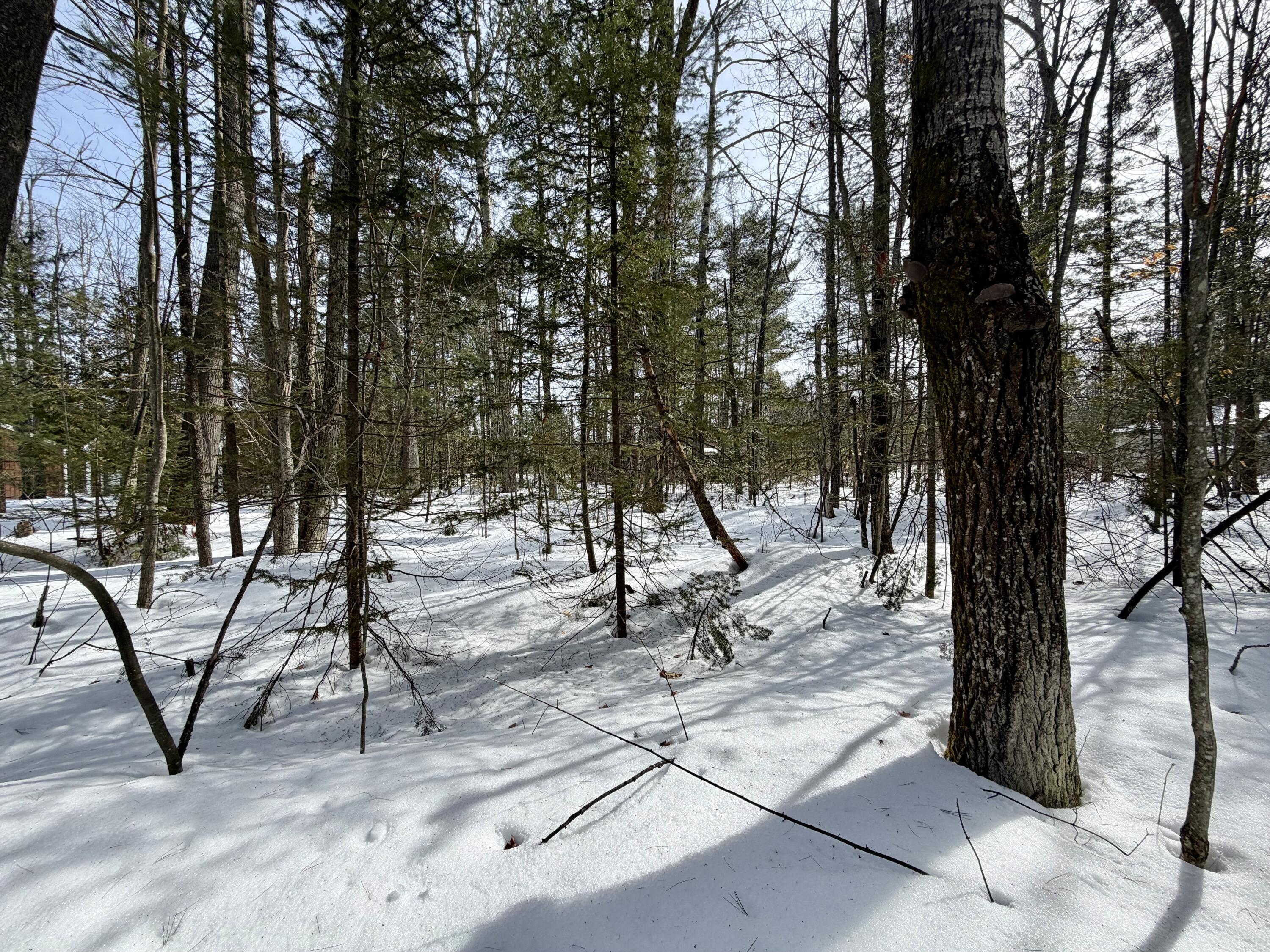 4962 Chamberlain Road