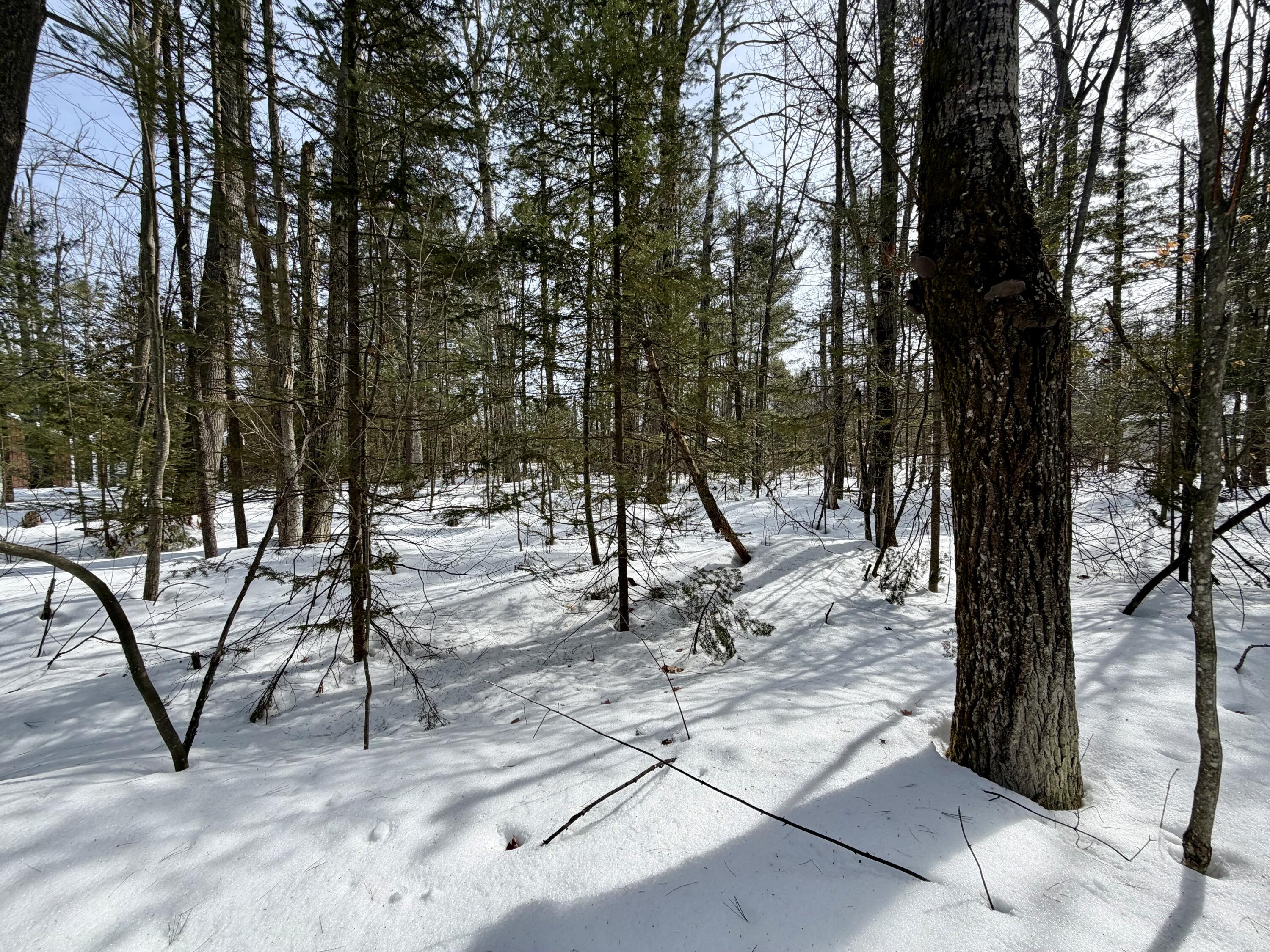 4962 Chamberlain Road