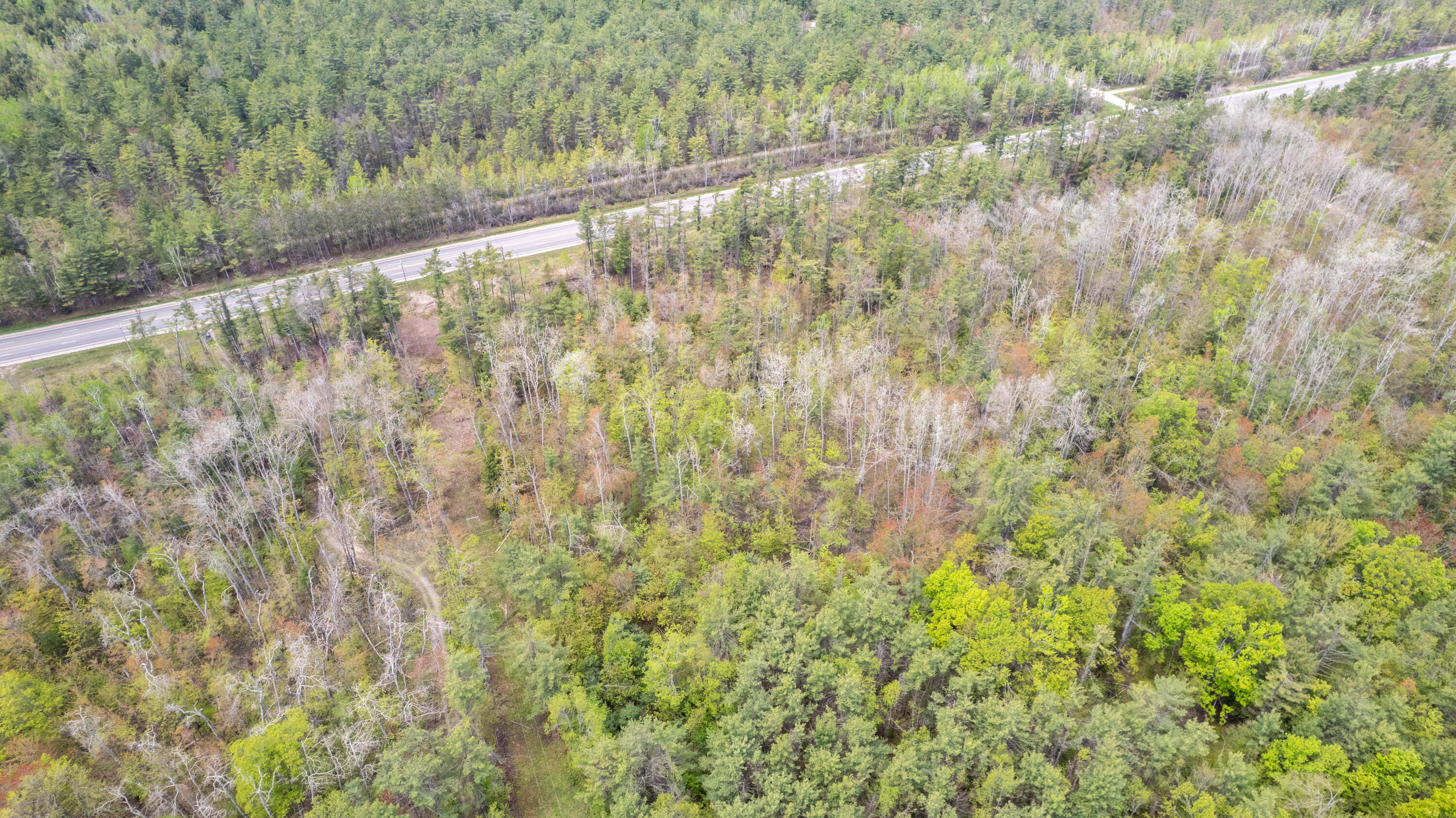10 AC U.S. 31 Highway, 10 acres