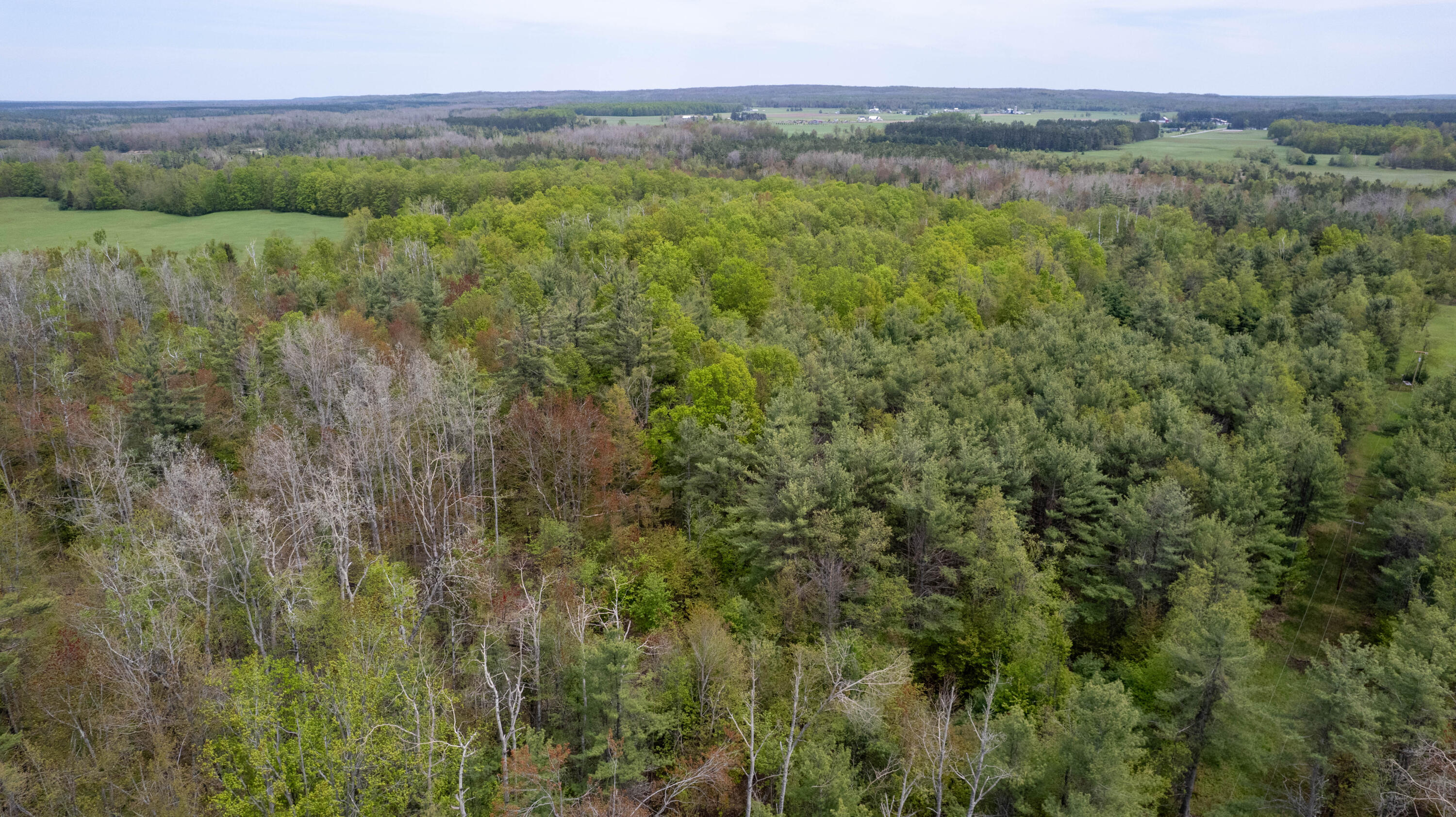 10 AC U.S. 31 Highway, 10 acres