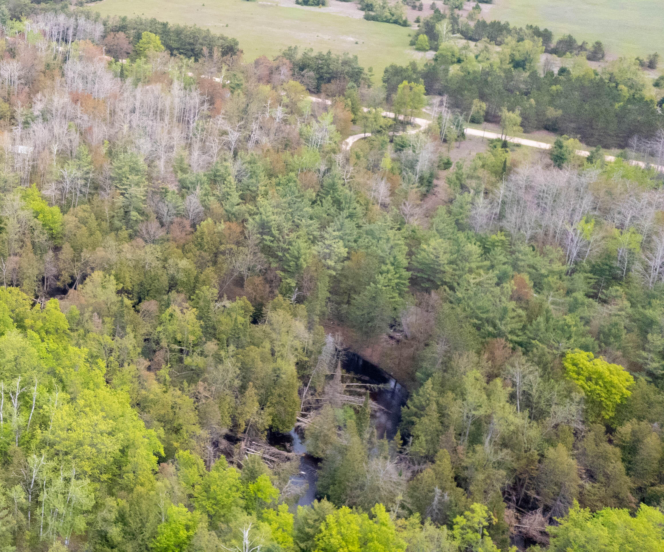 10 AC U.S. 31 Highway, 10 acres