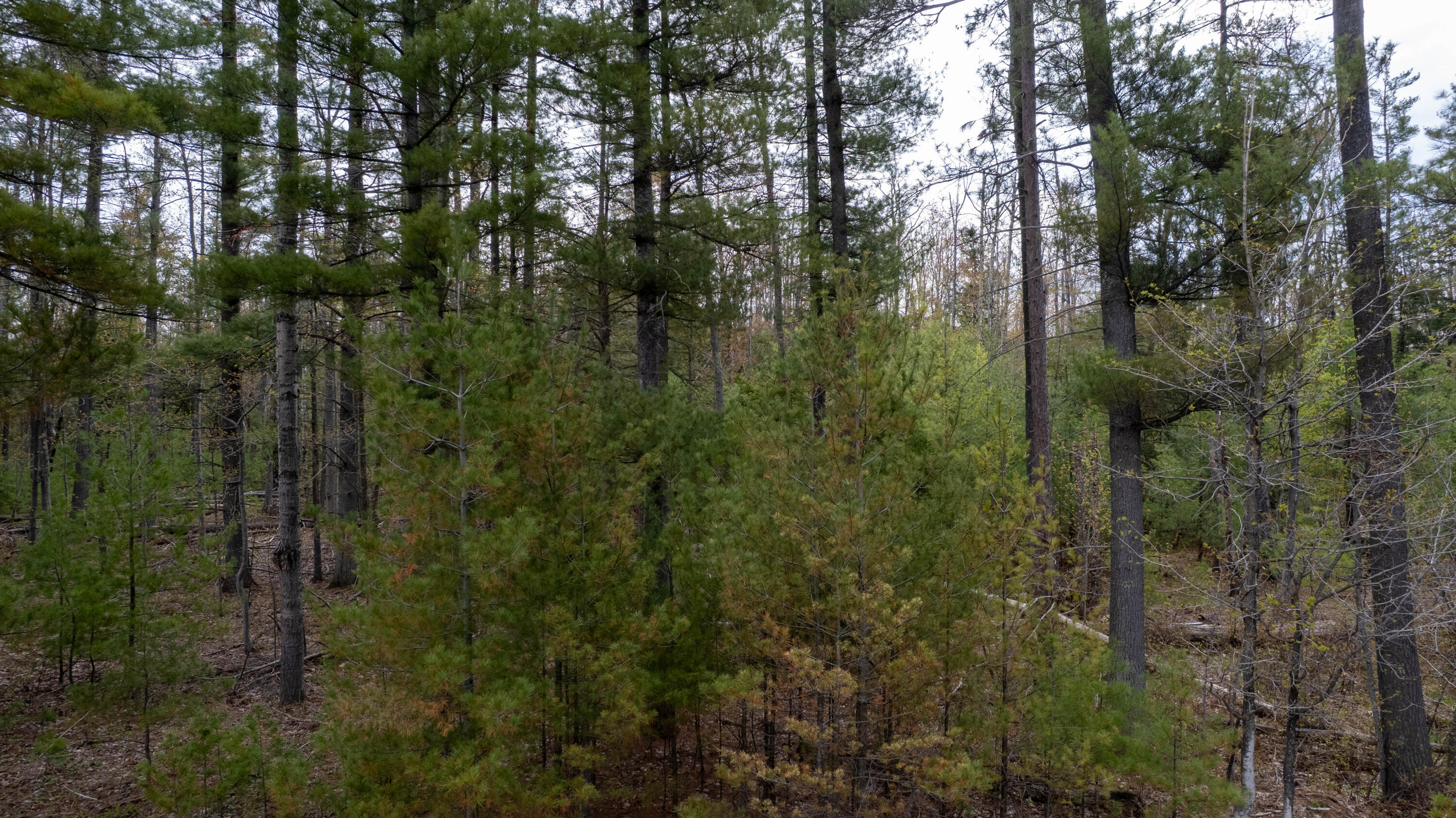 10 AC U.S. 31 Highway, 10 acres