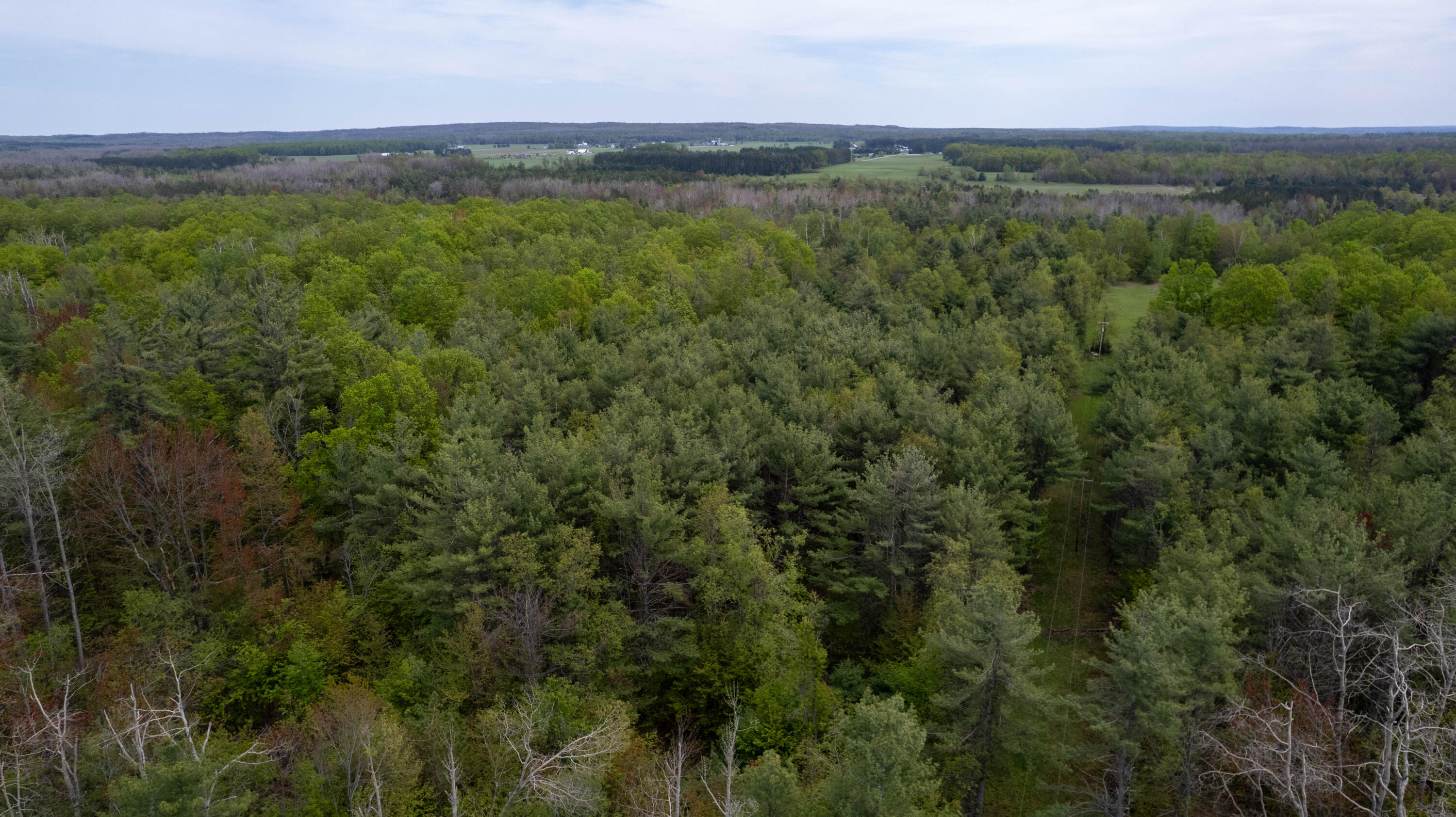 10 AC U.S. 31 Highway, 10 acres