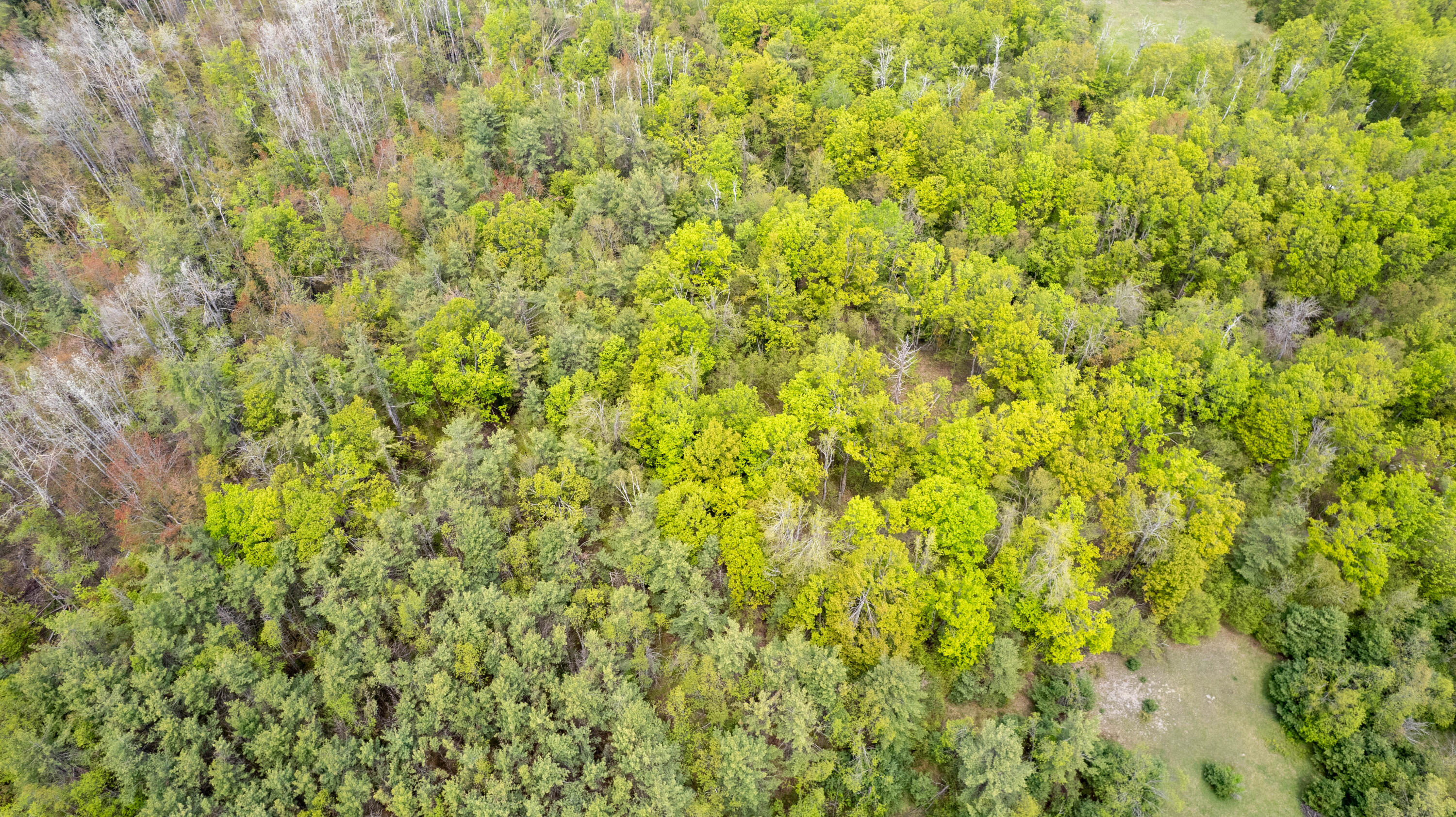 10 AC U.S. 31 Highway, 10 acres