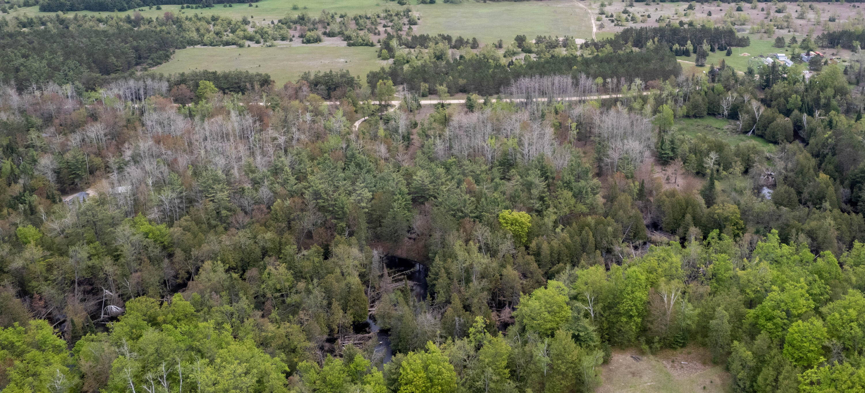 10 AC U.S. 31 Highway, 10 acres