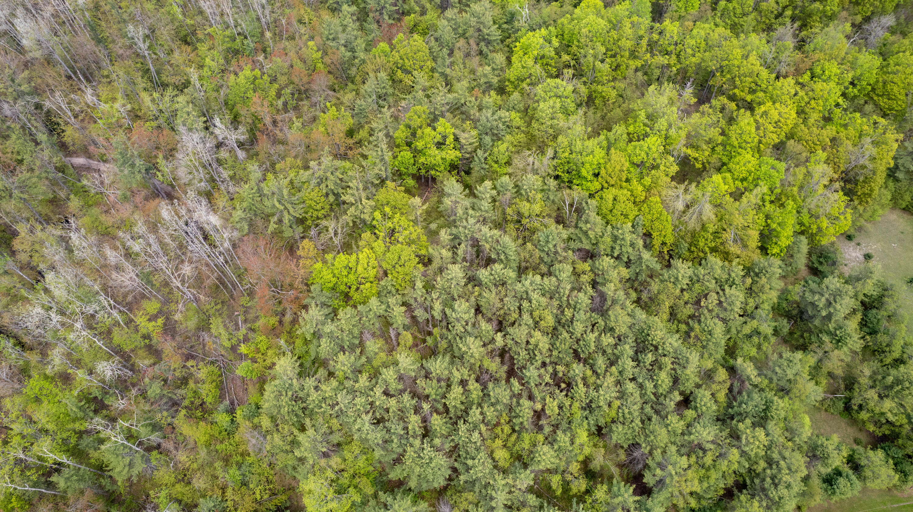 10 AC U.S. 31 Highway, 10 acres