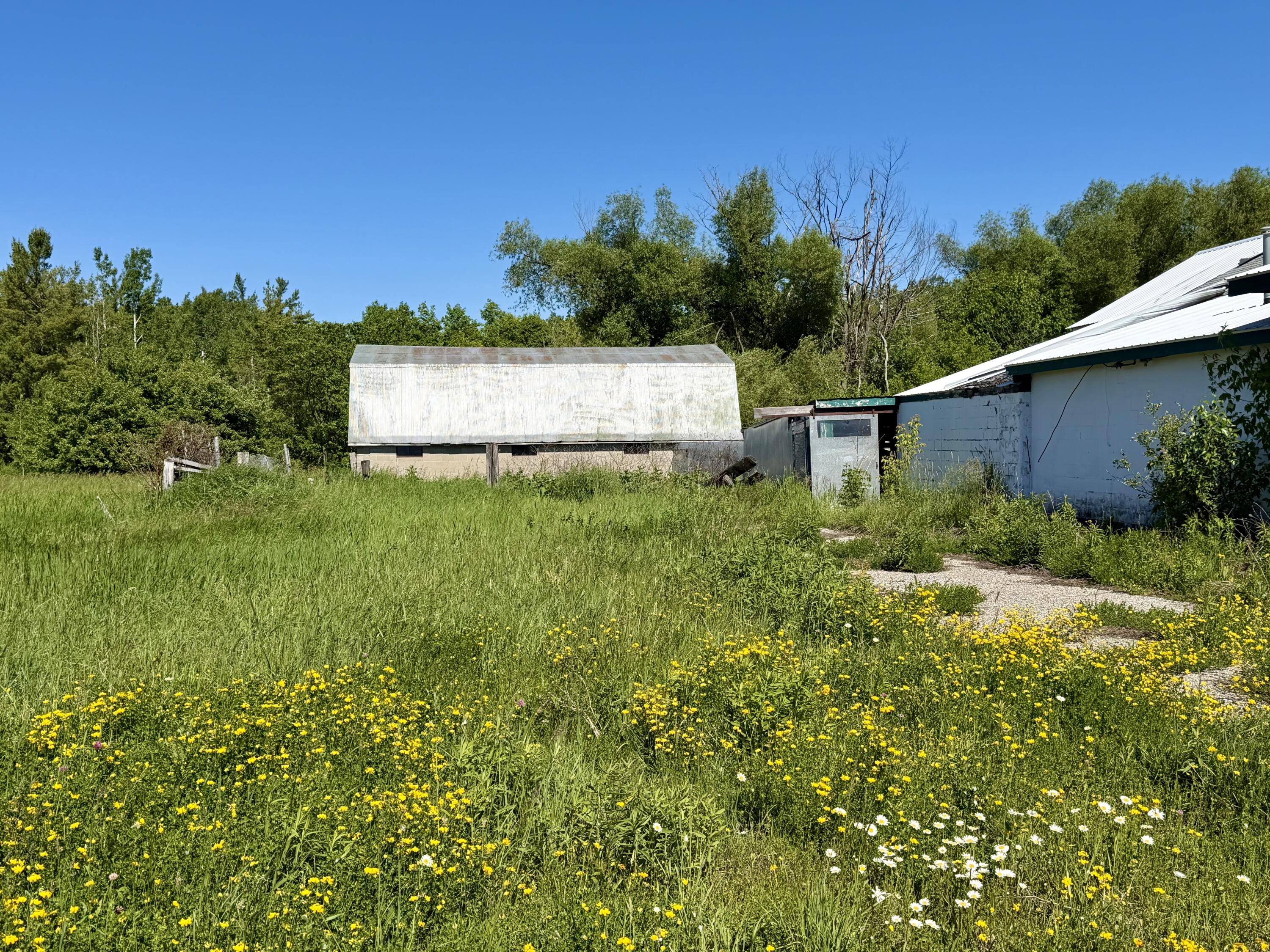 10900 Townline Road