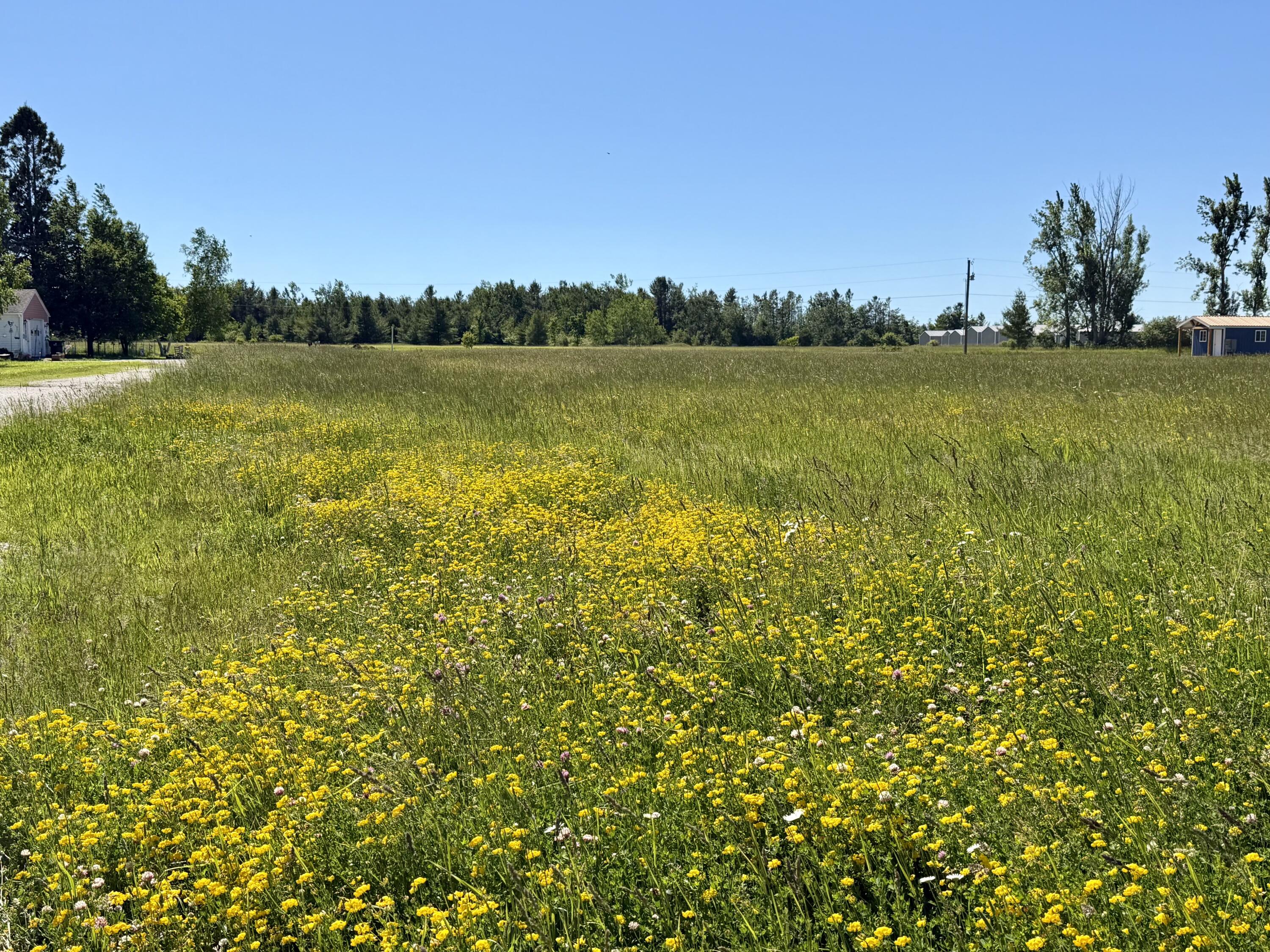 10900 Townline Road