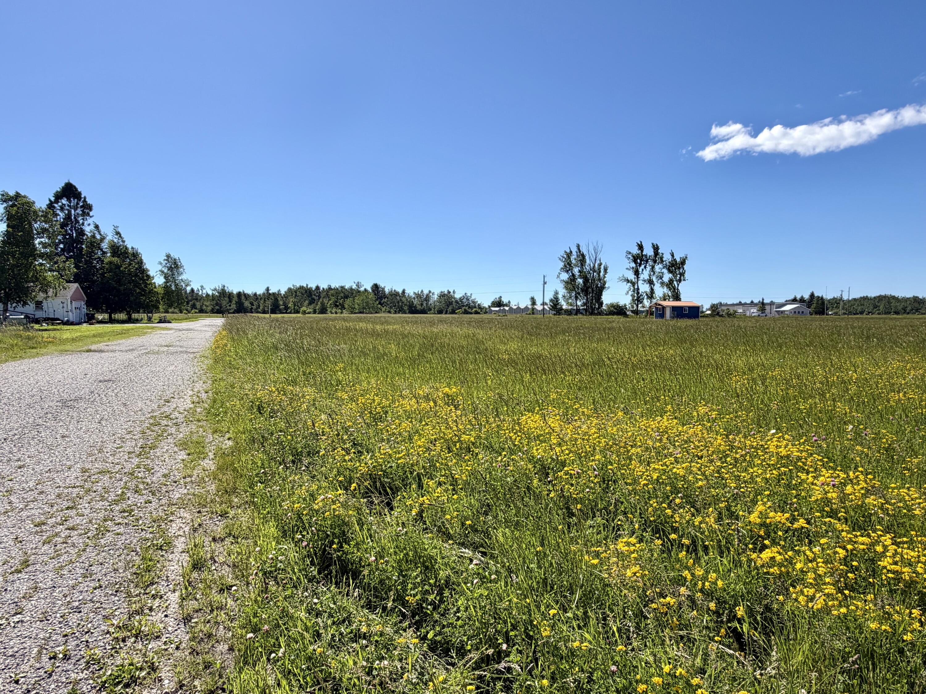 10900 Townline Road