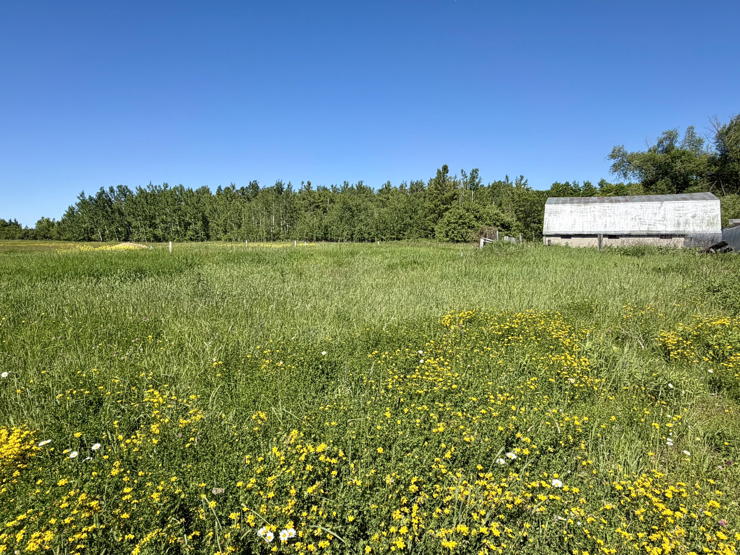 10900 Townline Road