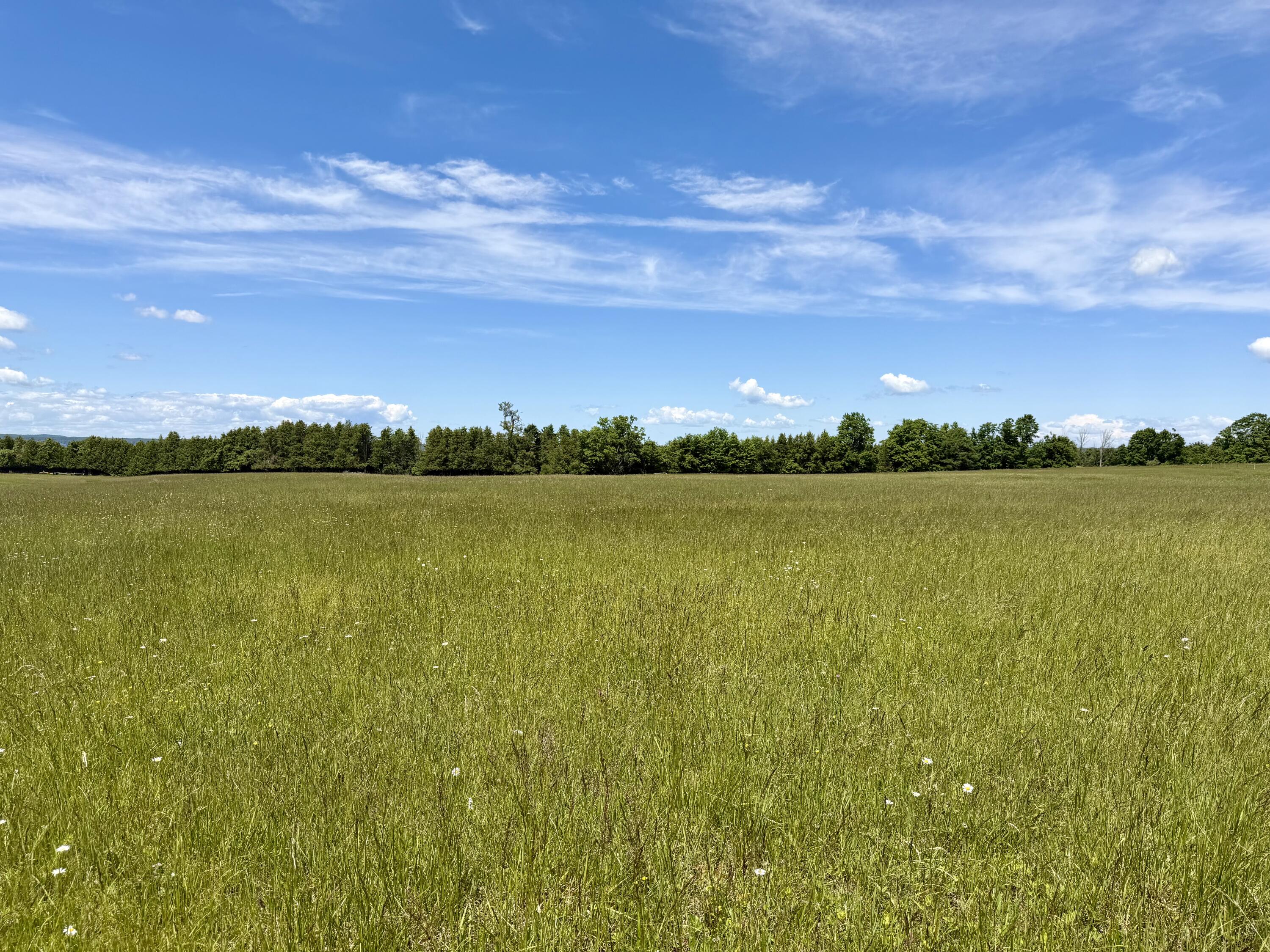 1321 Pioneer Road, 8.11 acres