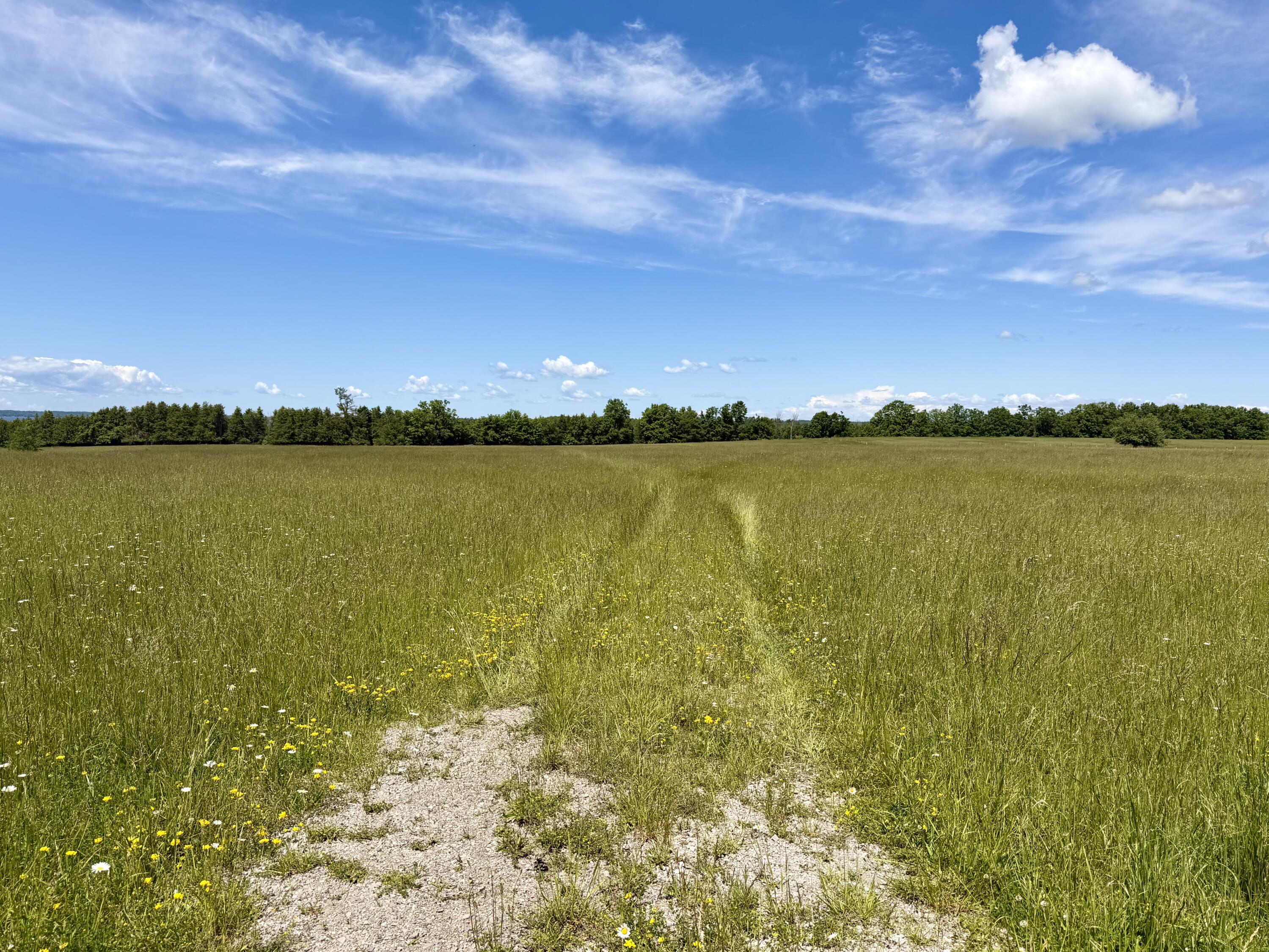 1321 Pioneer Road, 8.11 acres